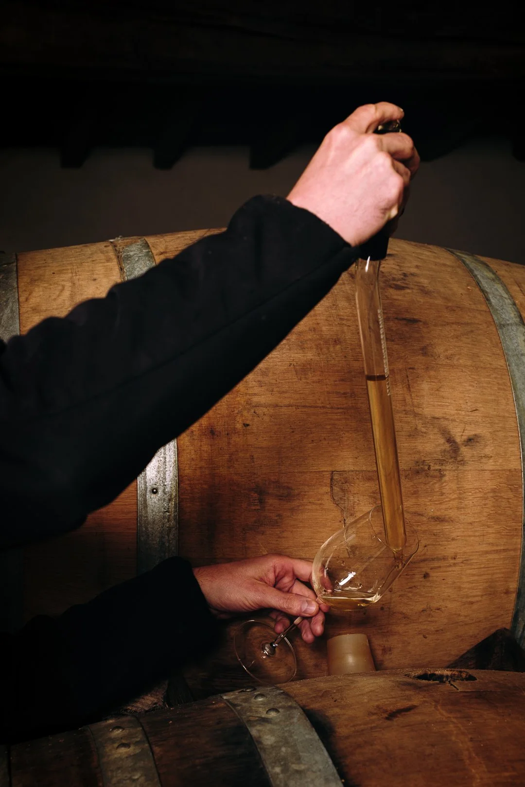 Travail en cave,, reportage photo vigneron en Béarn, Domaine Castera