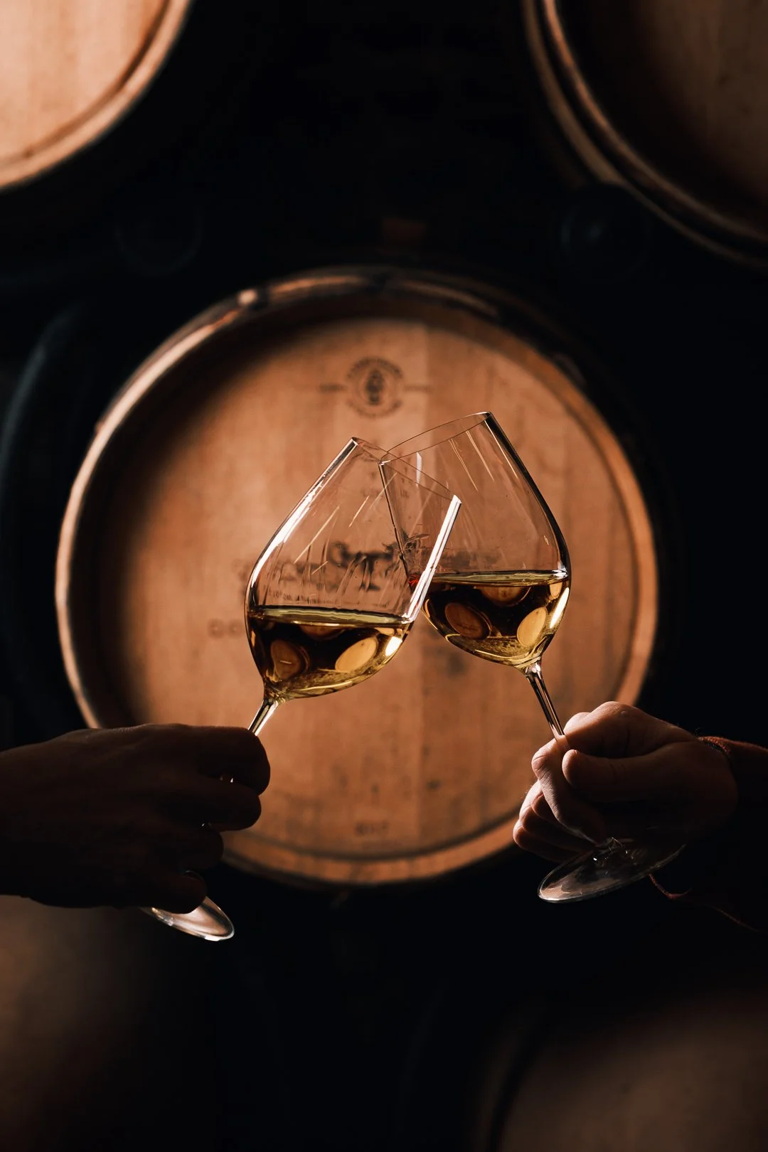 Domaine Castera - Reportage dans le chai à Monein