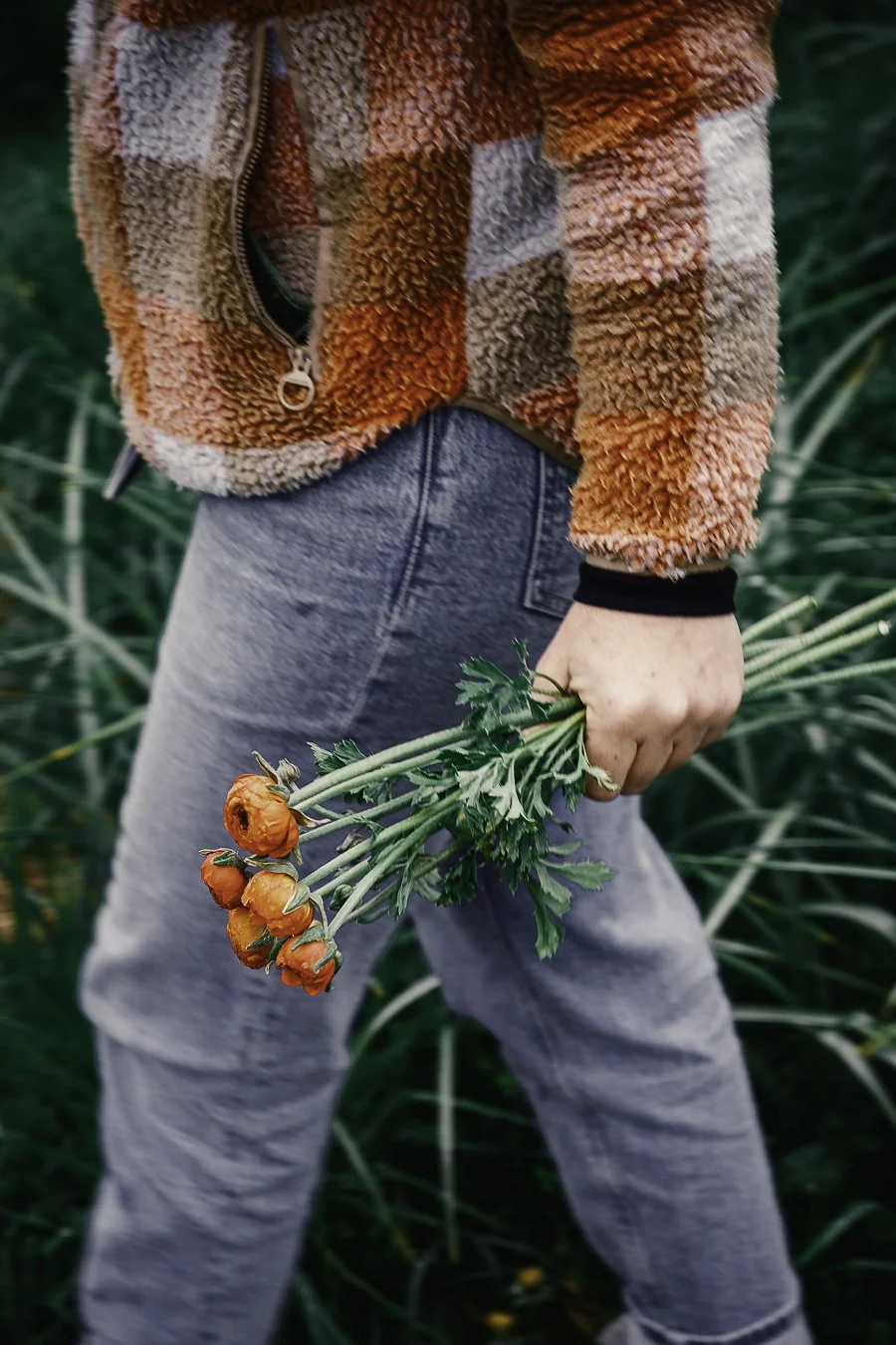 Main tenant une petite brassée de renoncules oranges cueillies ce matin, vente directe en Béarn