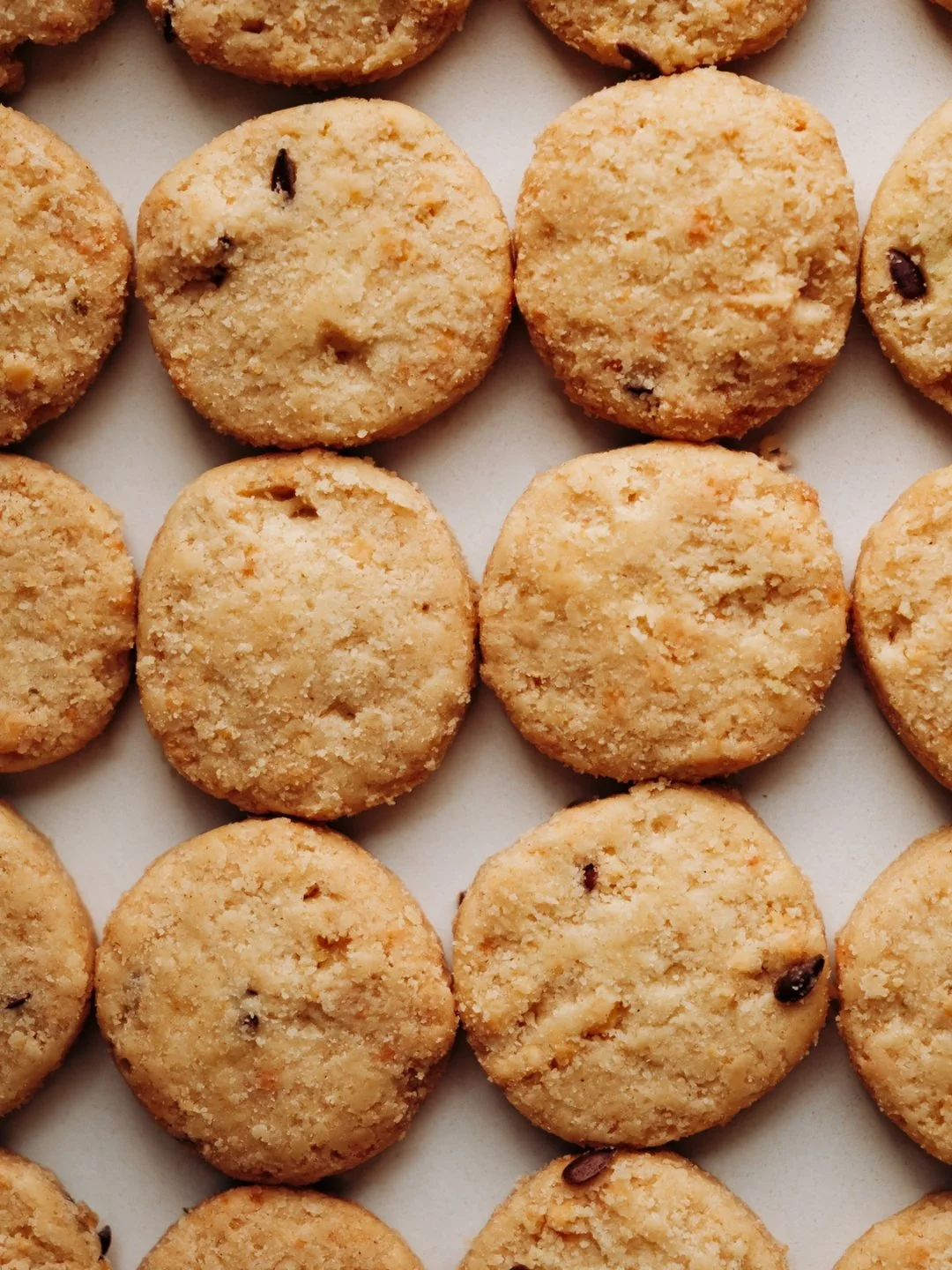 photoproduit brut biscuit