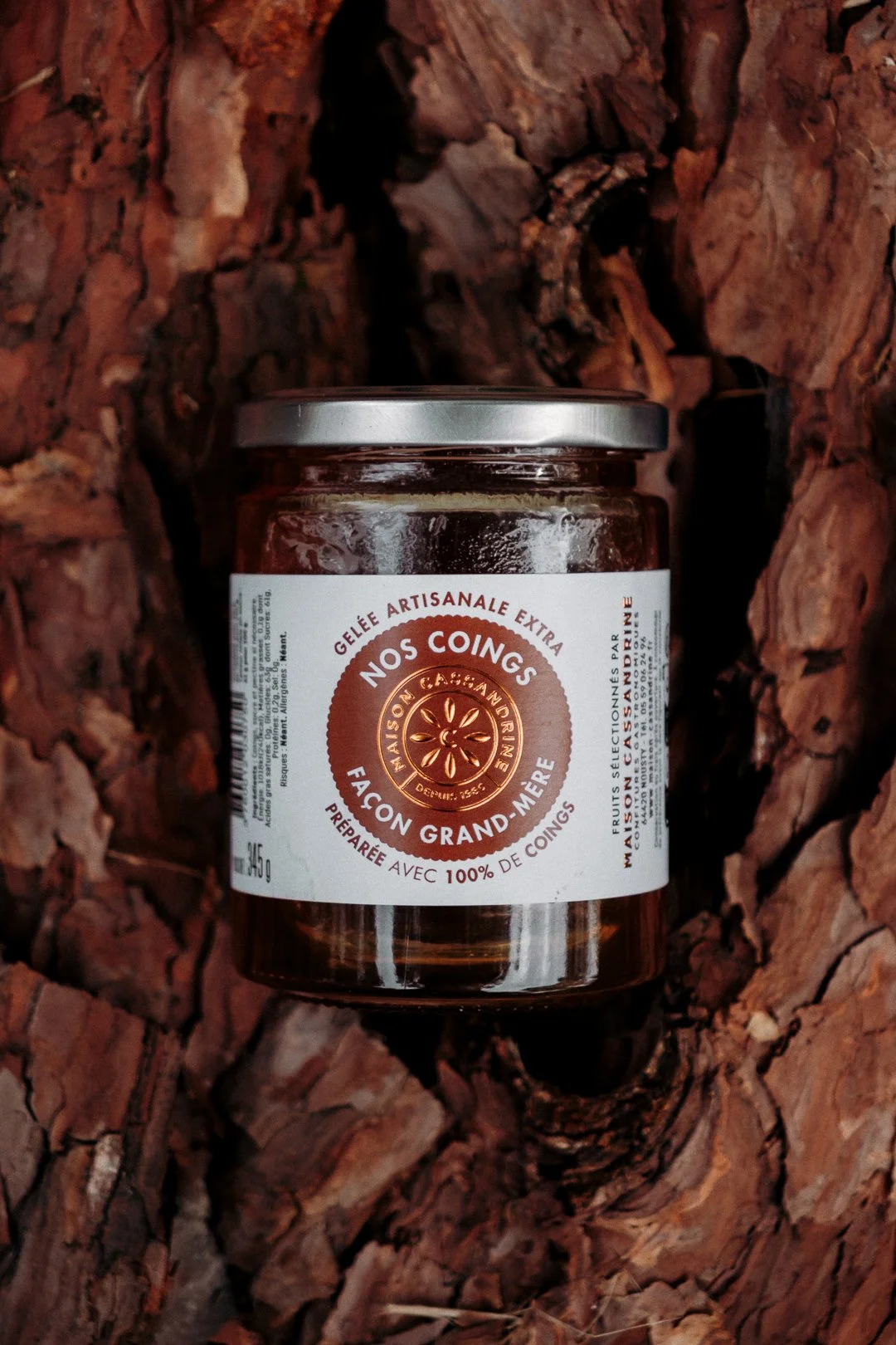 Pot de gelée de coings artisanale posé dans l’écorce d’un pin, photo produit en forêt