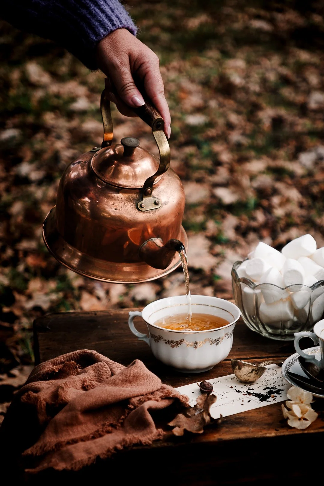 Service du thé à la bouilloire en cuivre dans une tasse en porcelaine, en forêt