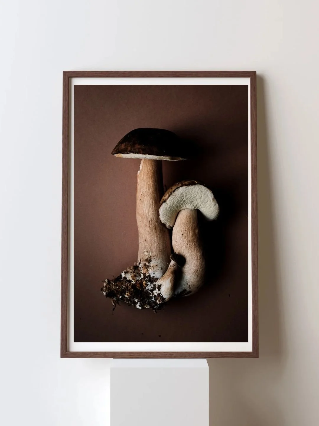 photo-cèpes-print.jpg