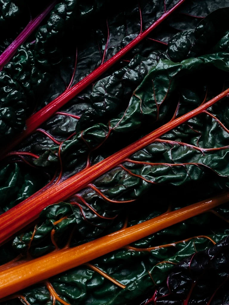 Bottes de bettes colorées, photographie culinaire mettant en valeur les produits frais locaux en Béarn