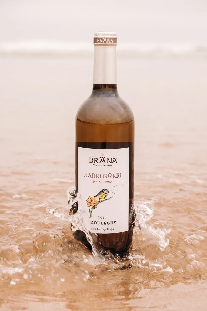 Bouteille de vin du domaine Brana posée dans l'eau, photographie de produit originale pour vignerons du Sud-Ouest