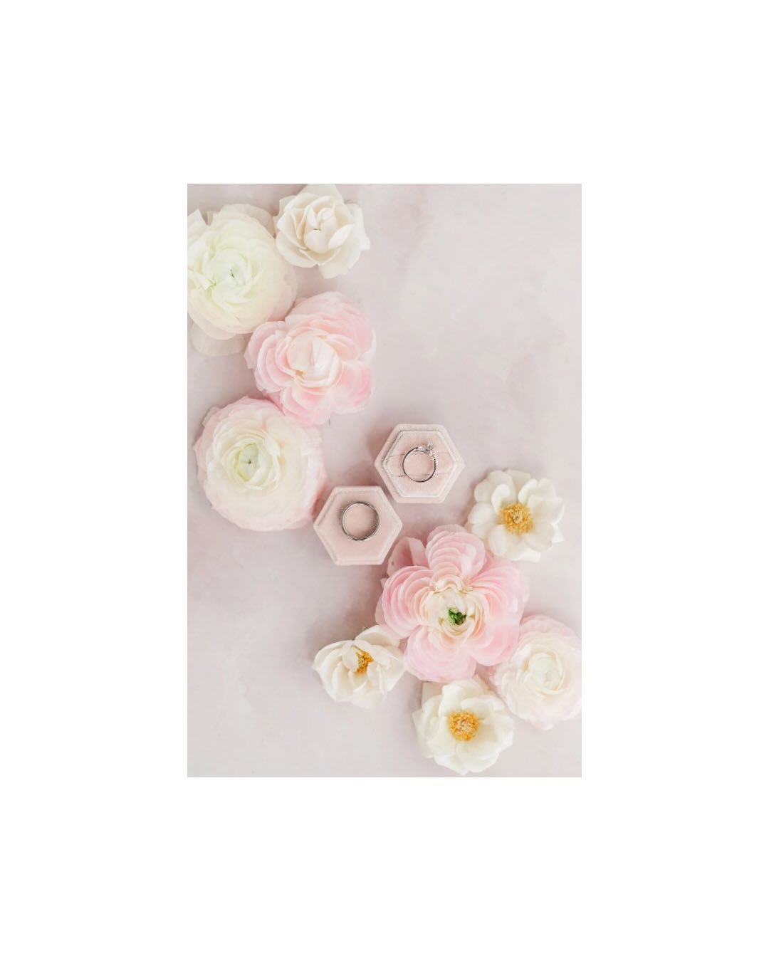 Pink-on-pink wedding details styled by the beautiful @melaniejoy.photography 🌷🩰 🎀

Planning | @jillianmarie.events 
Photo | @melaniejoy.photography
Floral | @kind_floral
Venue | @ggresortandclub