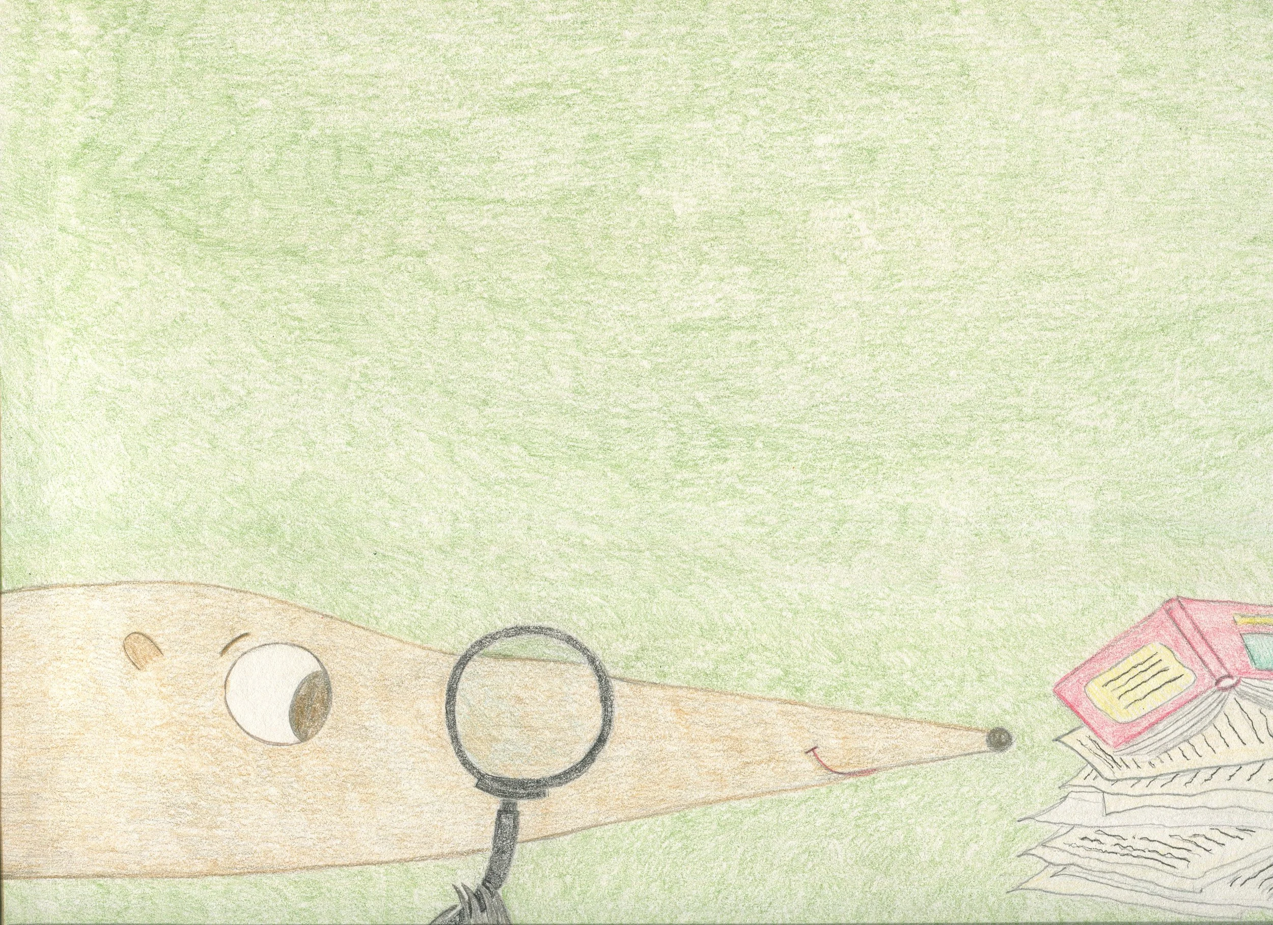 Bando sossi- competition illustration