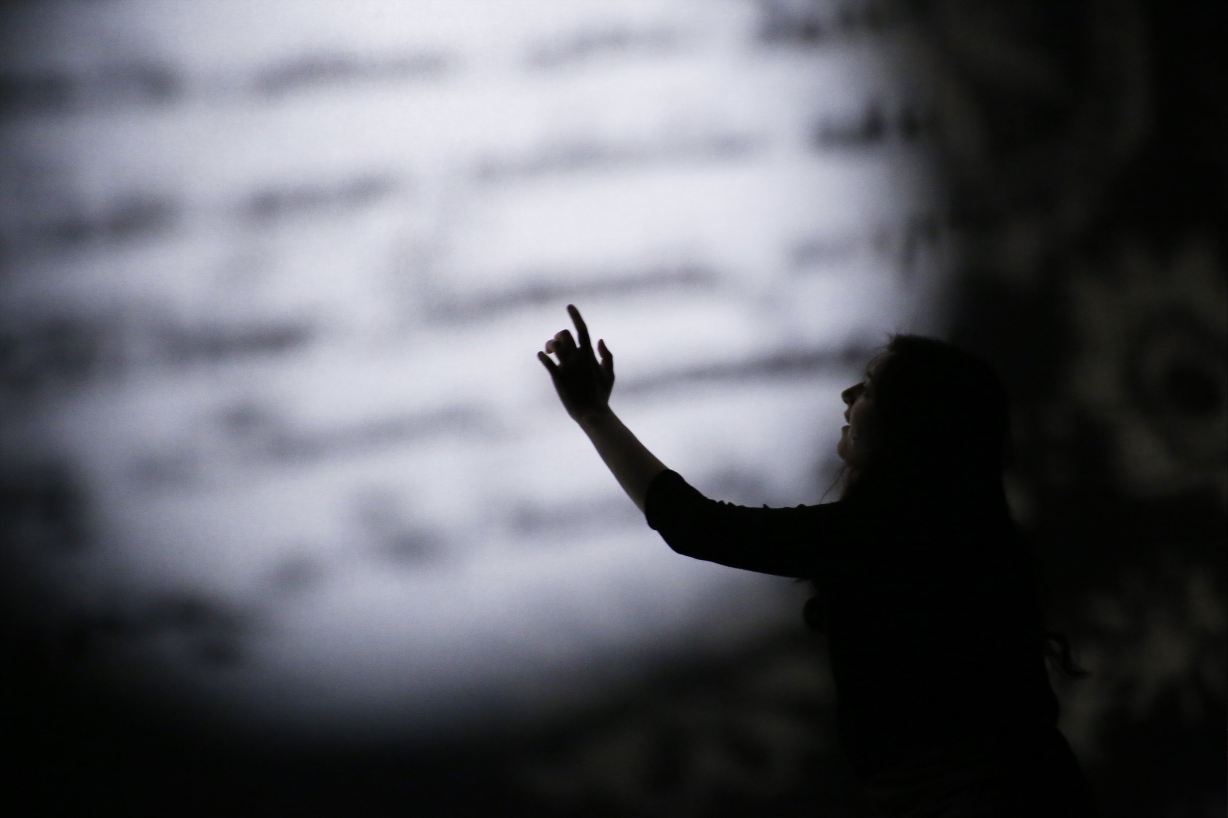 La soffitta di Chopin - ph. Margherita Mase5.jpg