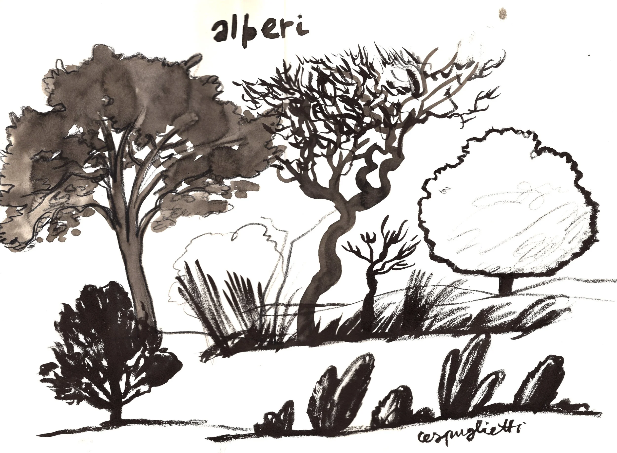 alberi.jpg