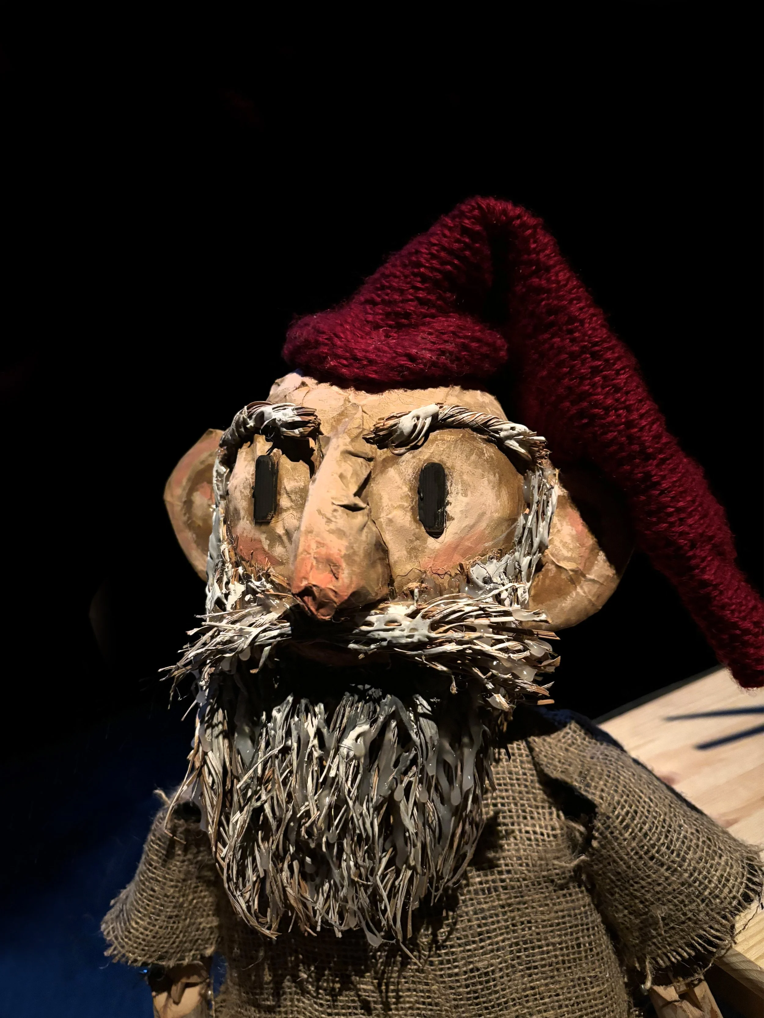 Il bosco delle storie di natale 3 modif.jpg