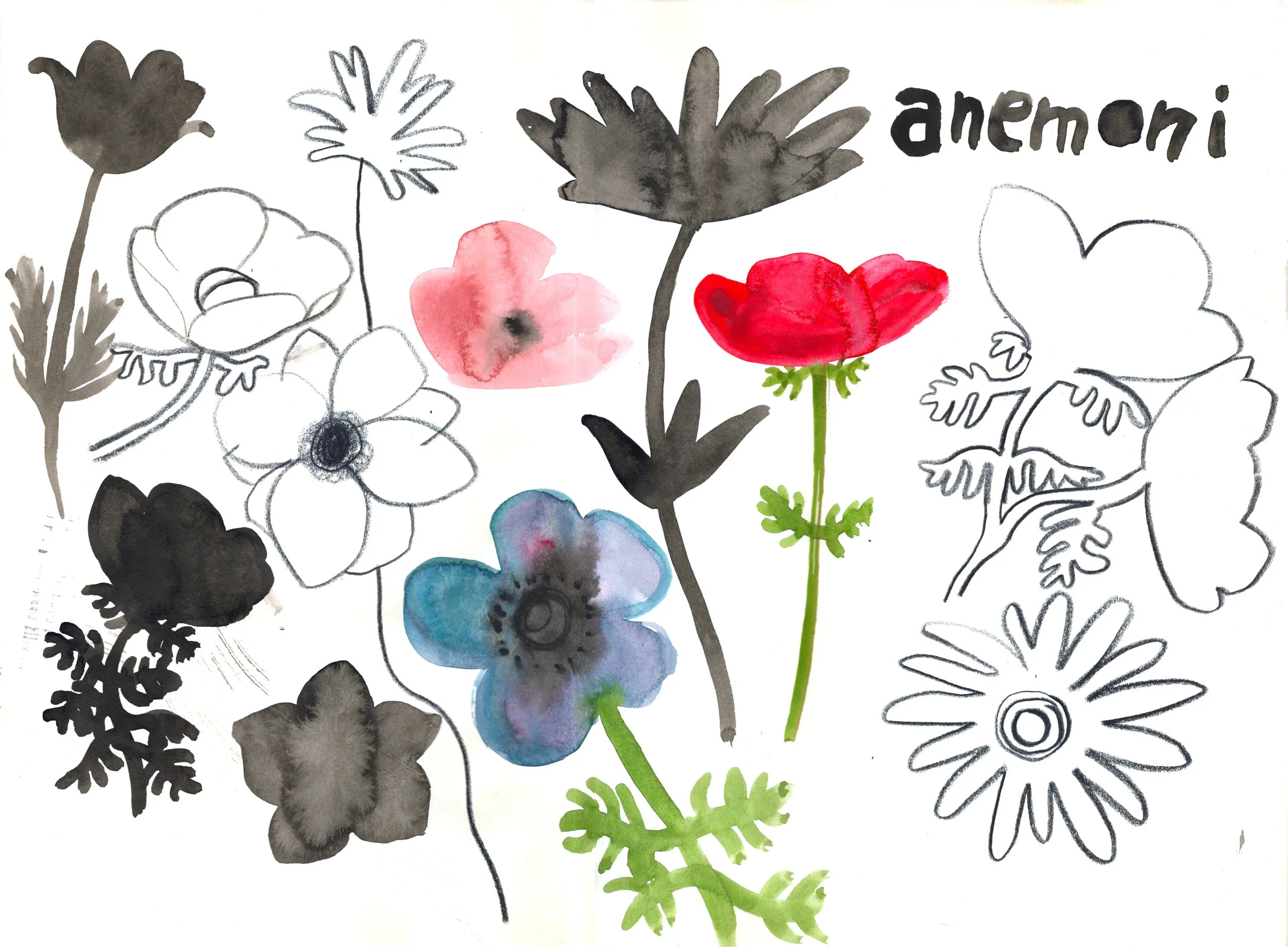 anemoni.jpg