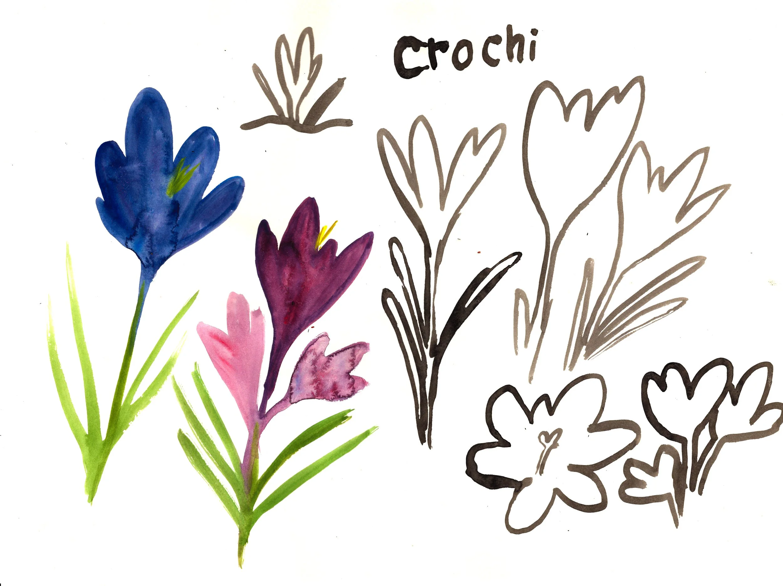 crochi.jpg