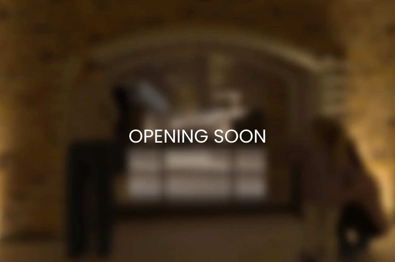  Museum Exhibition 
 Scenography, 2026