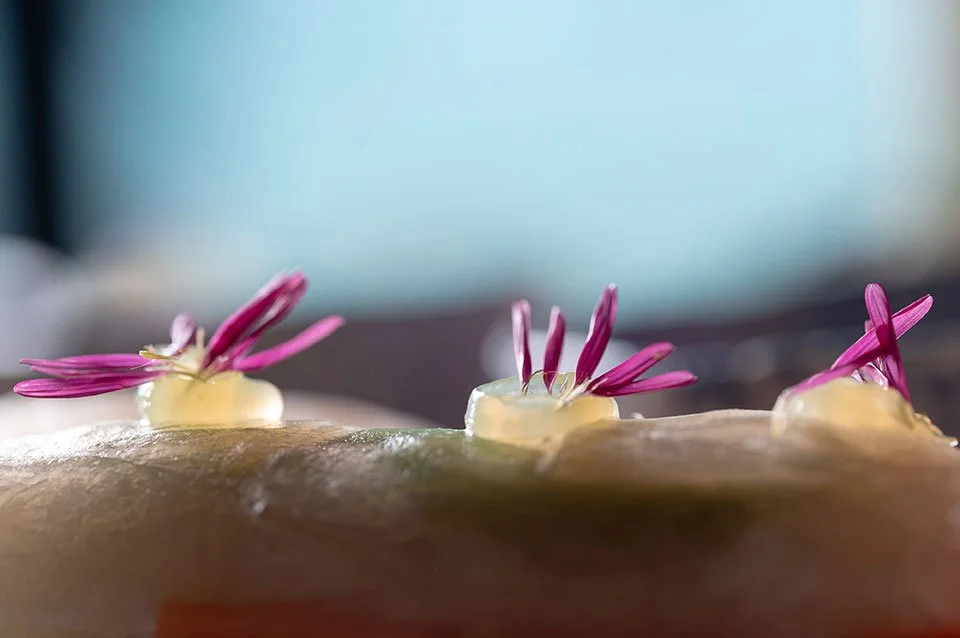 A close-up shot of freshly made spring rolls, served with dipping sauce at Koa Dining, Tolani Koh Samui.