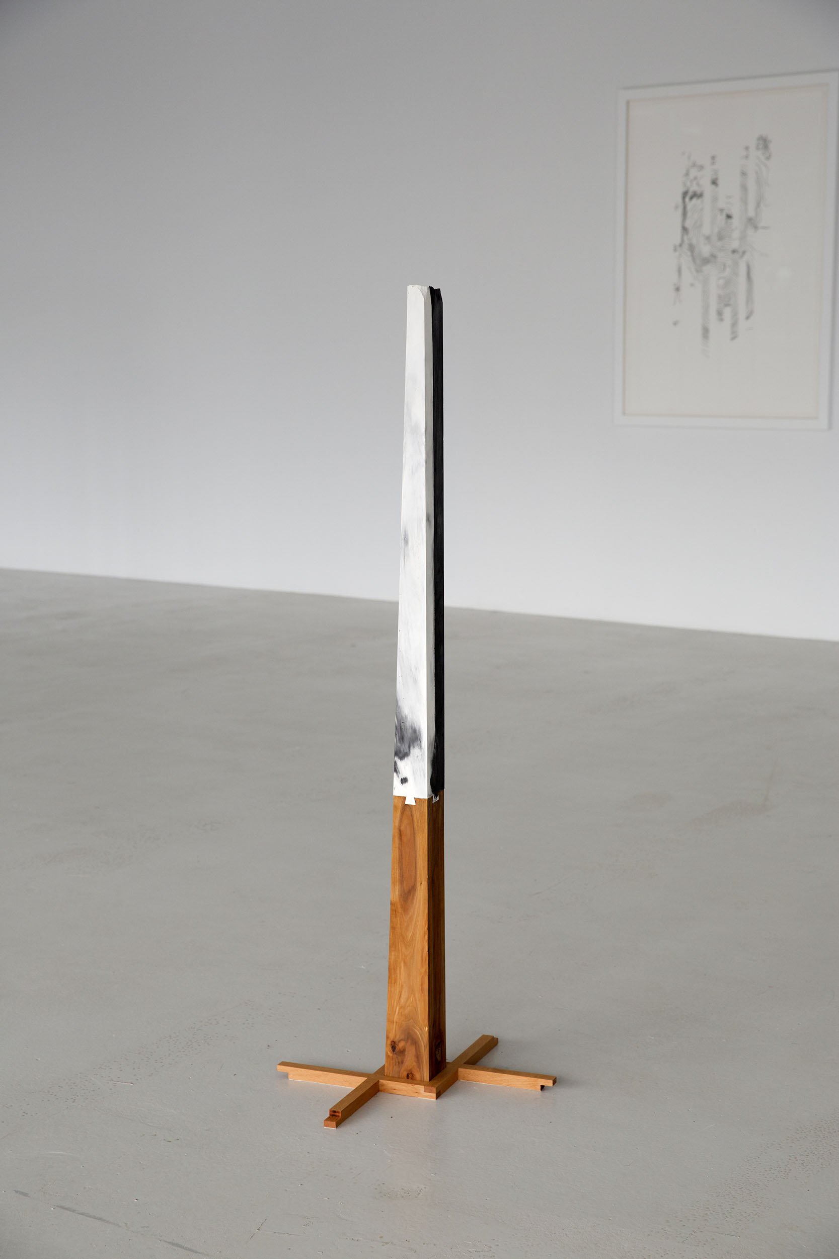 Pole of inaccessibility
