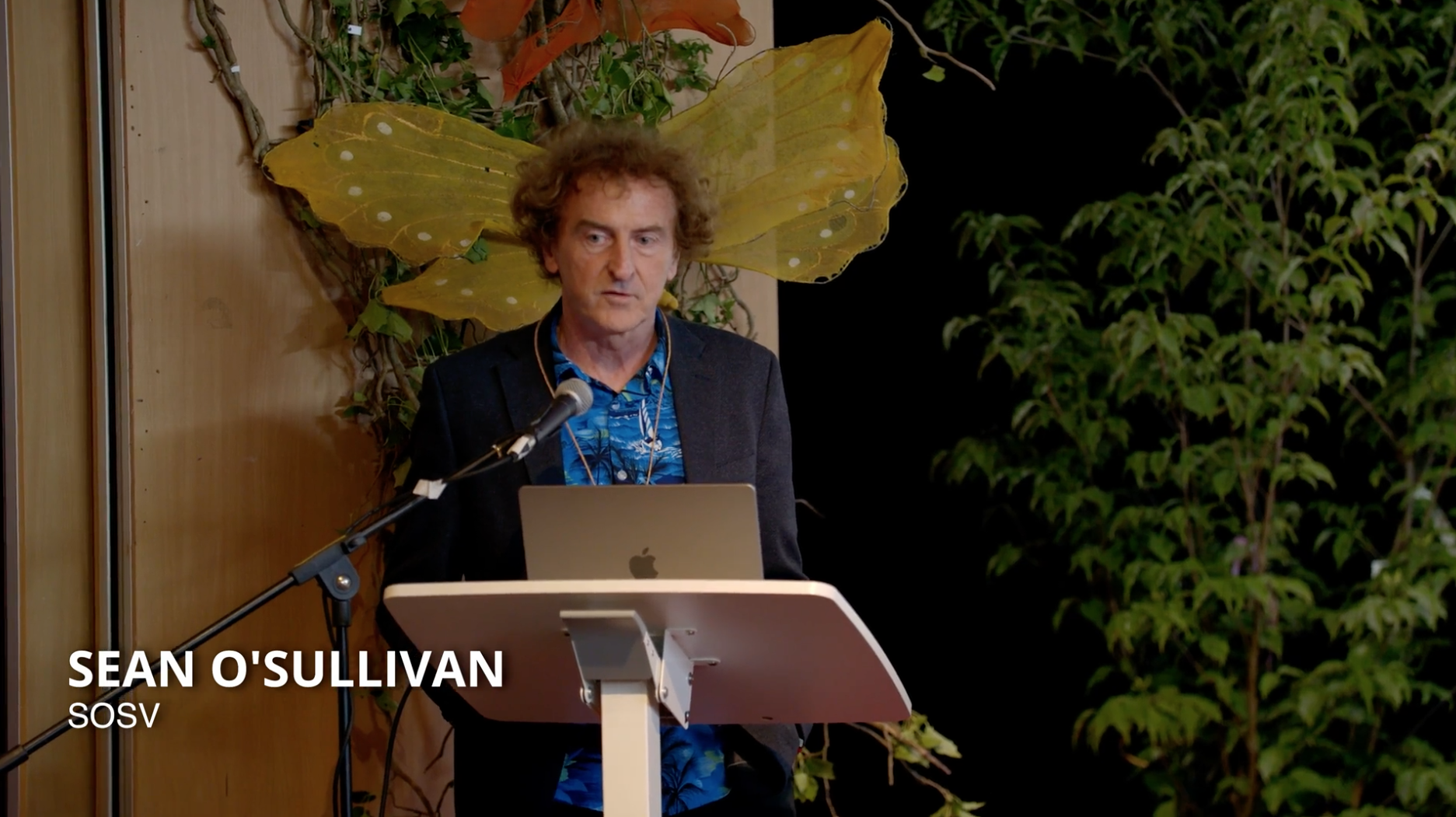 Highlights from this year's Festival, May 2025