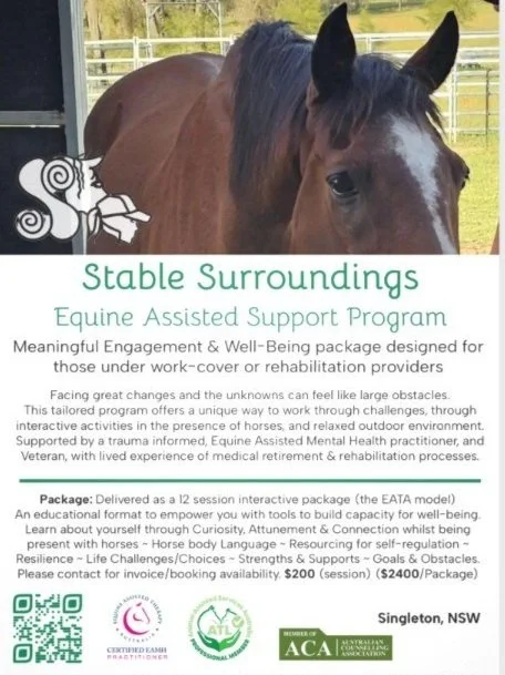 Brochure Stable Surroundings Equine Therapy Support Services. Rehabilitation, work cover. Singleton