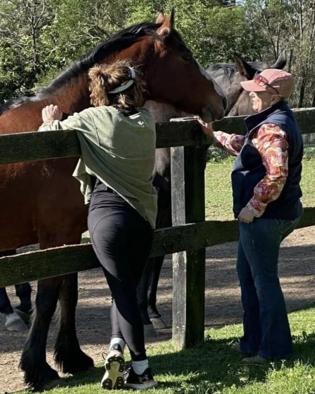 Stable Surroundings Equine Assisted Therapy