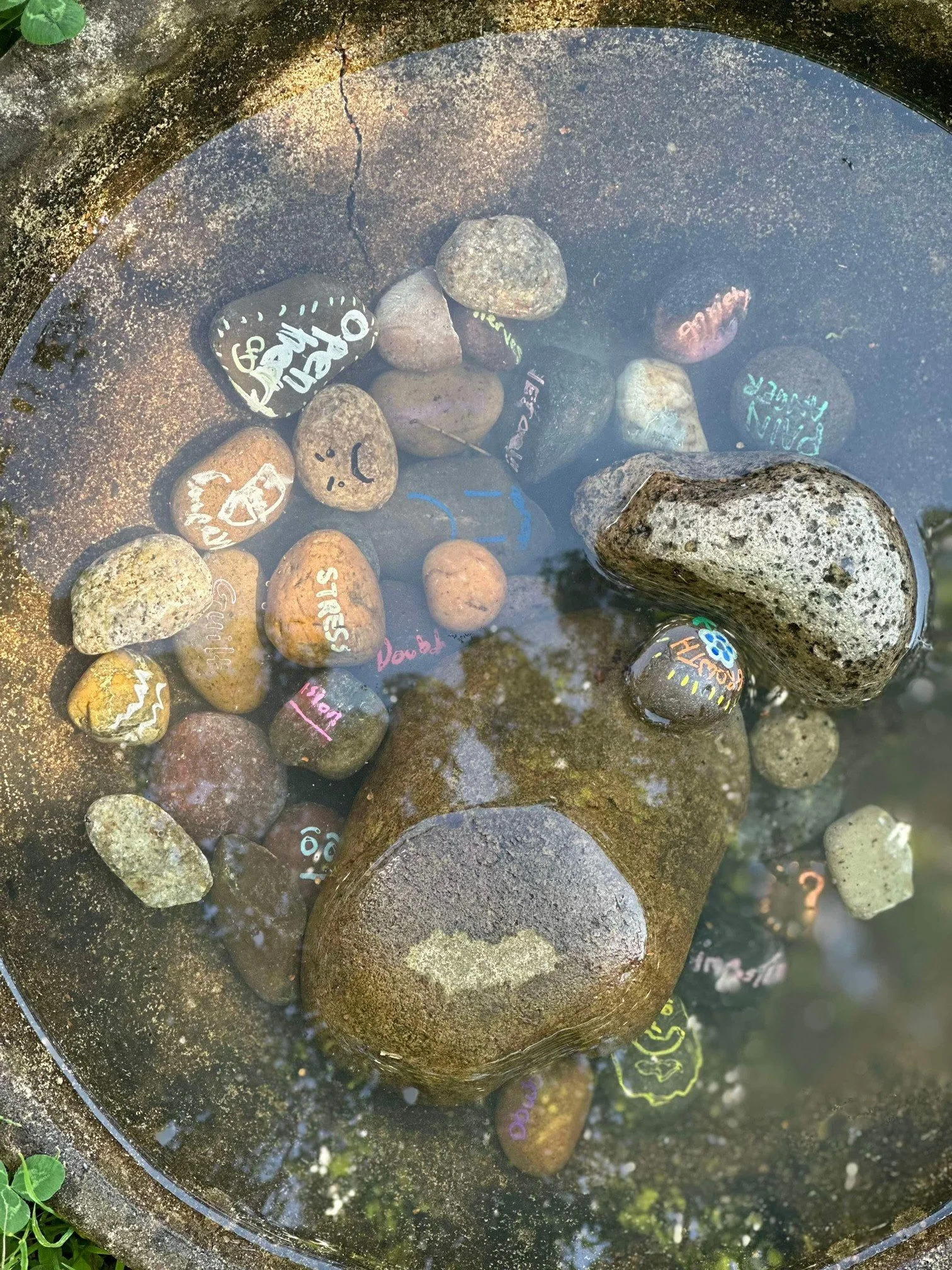Rocks in a shallow water pool with colorful chalk drawings and writings on the stones' surface. Stable Surroundings Equine Therapy.