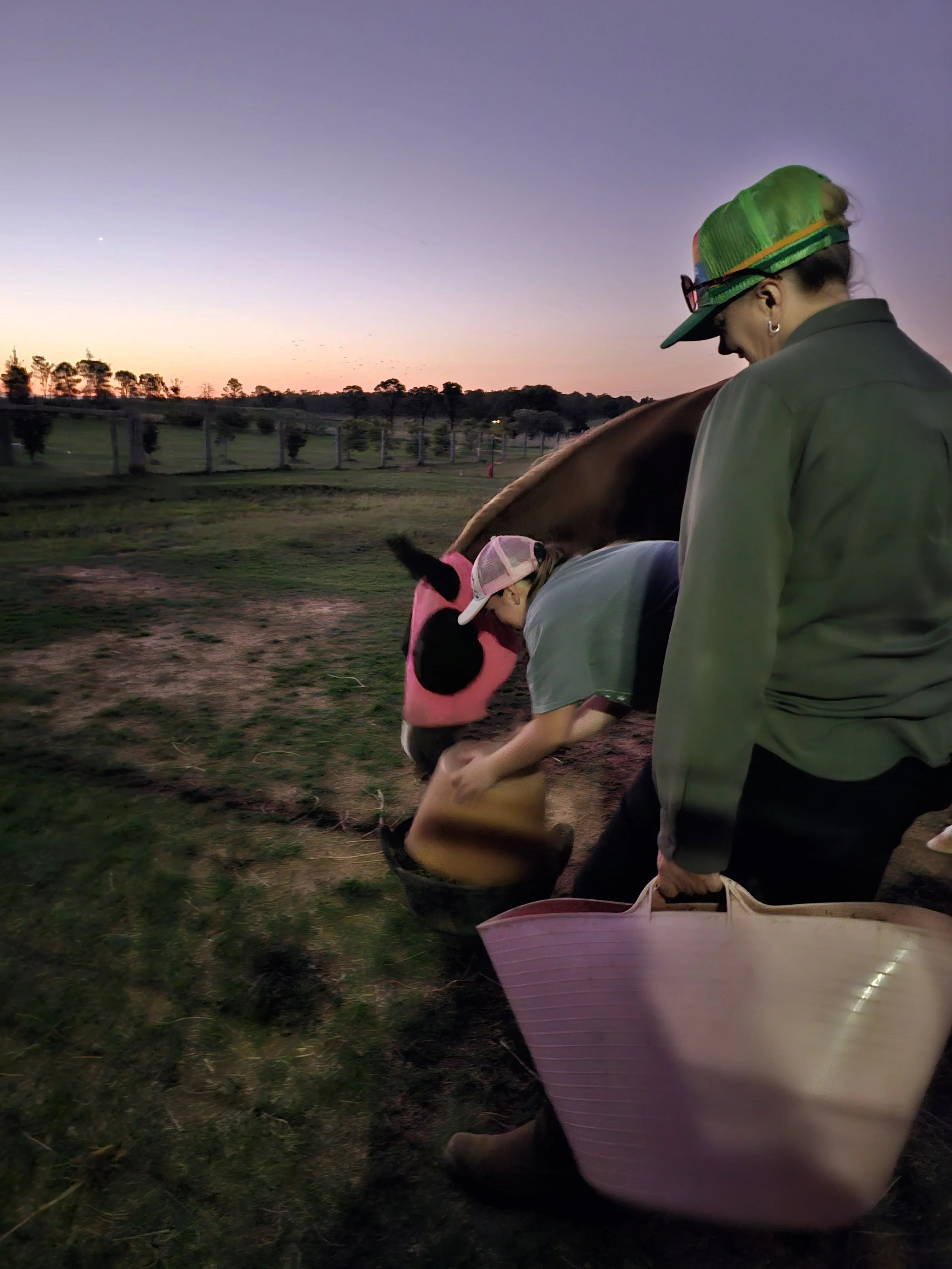 A person in a green jacket and a green cap feeds a horse wearing a pink fly mask during sunset in an open field. Stable Surroundings Equine Therapy.