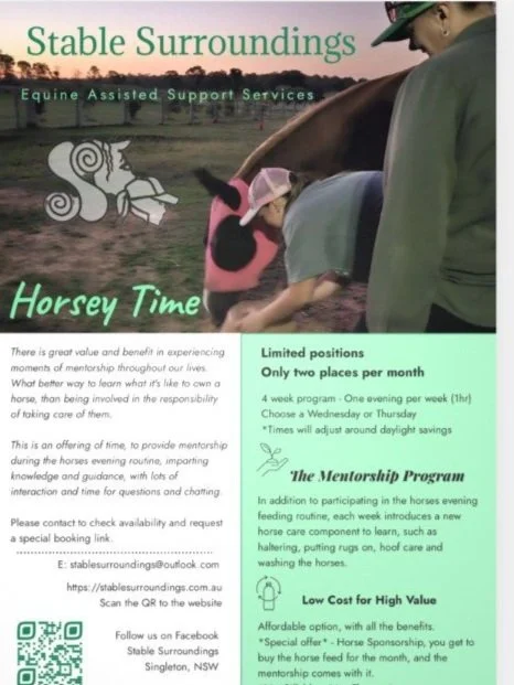 Stable Surroundings Equine Assisted Therapy Singleton