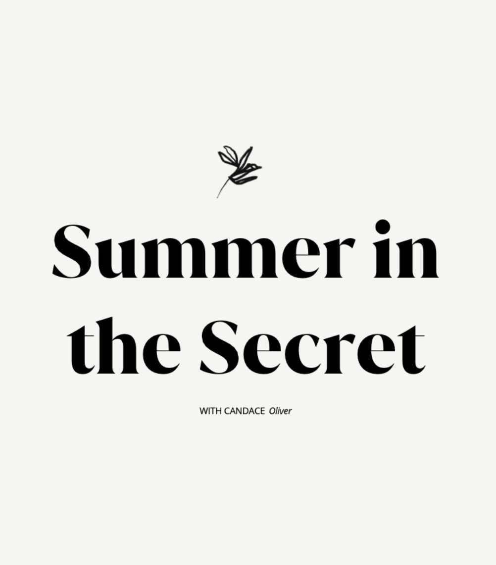 Summer in the Secret PDF