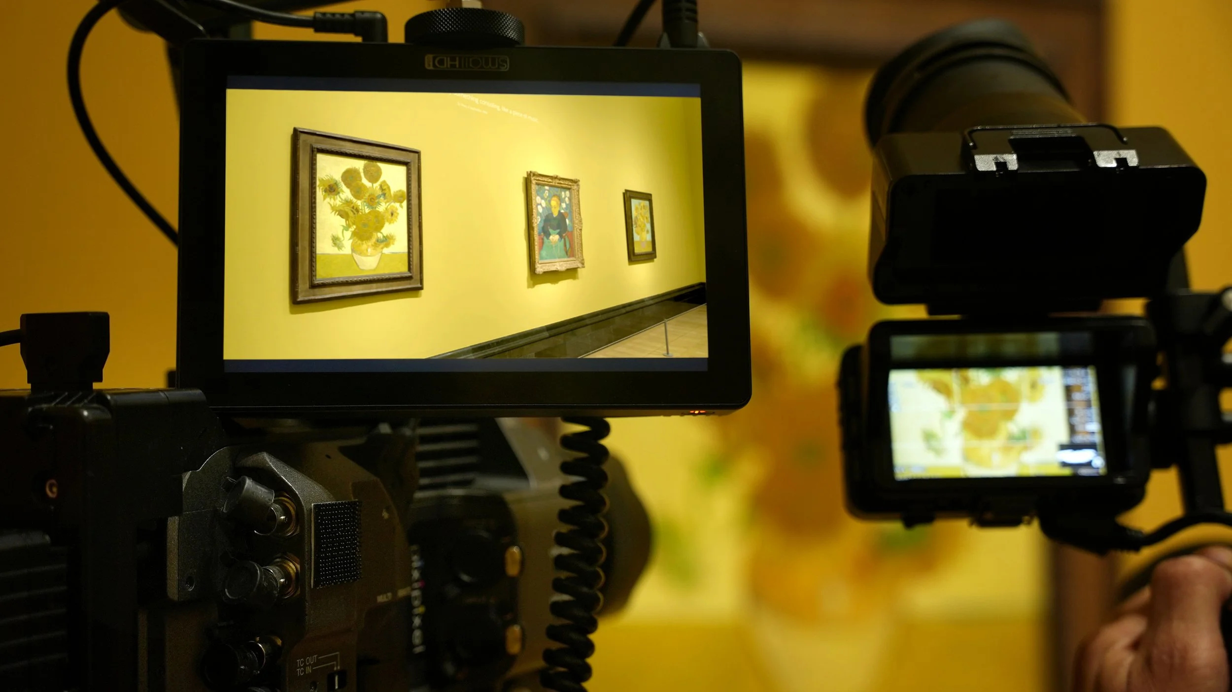 28 Filming Van Gogh at National Gallery © David Bickerstaff.jpg