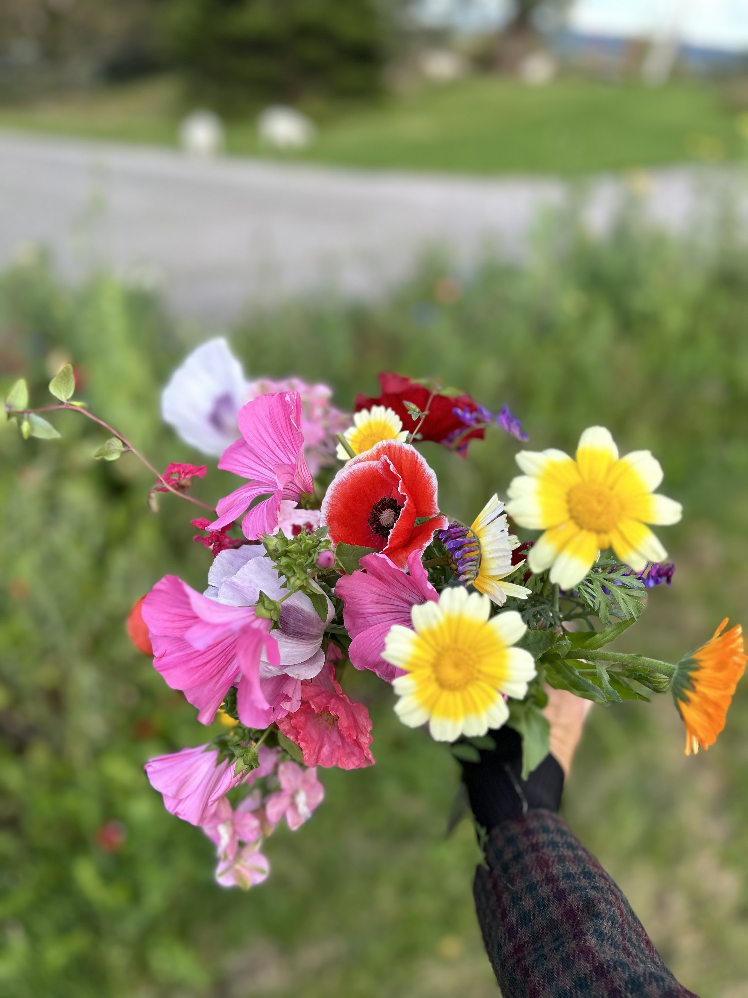 Copyright: Hanne Kure Bjugstad