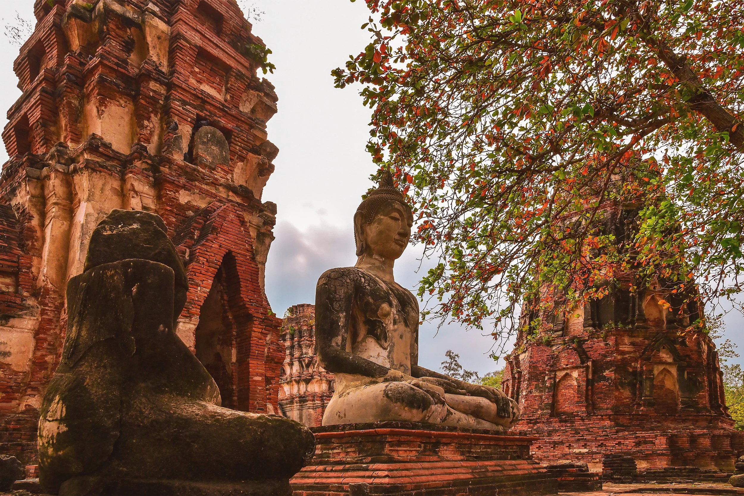 Unlocking Your Inner Peace: How Integrating Buddha's Teachings Can Improve Your Mental Health