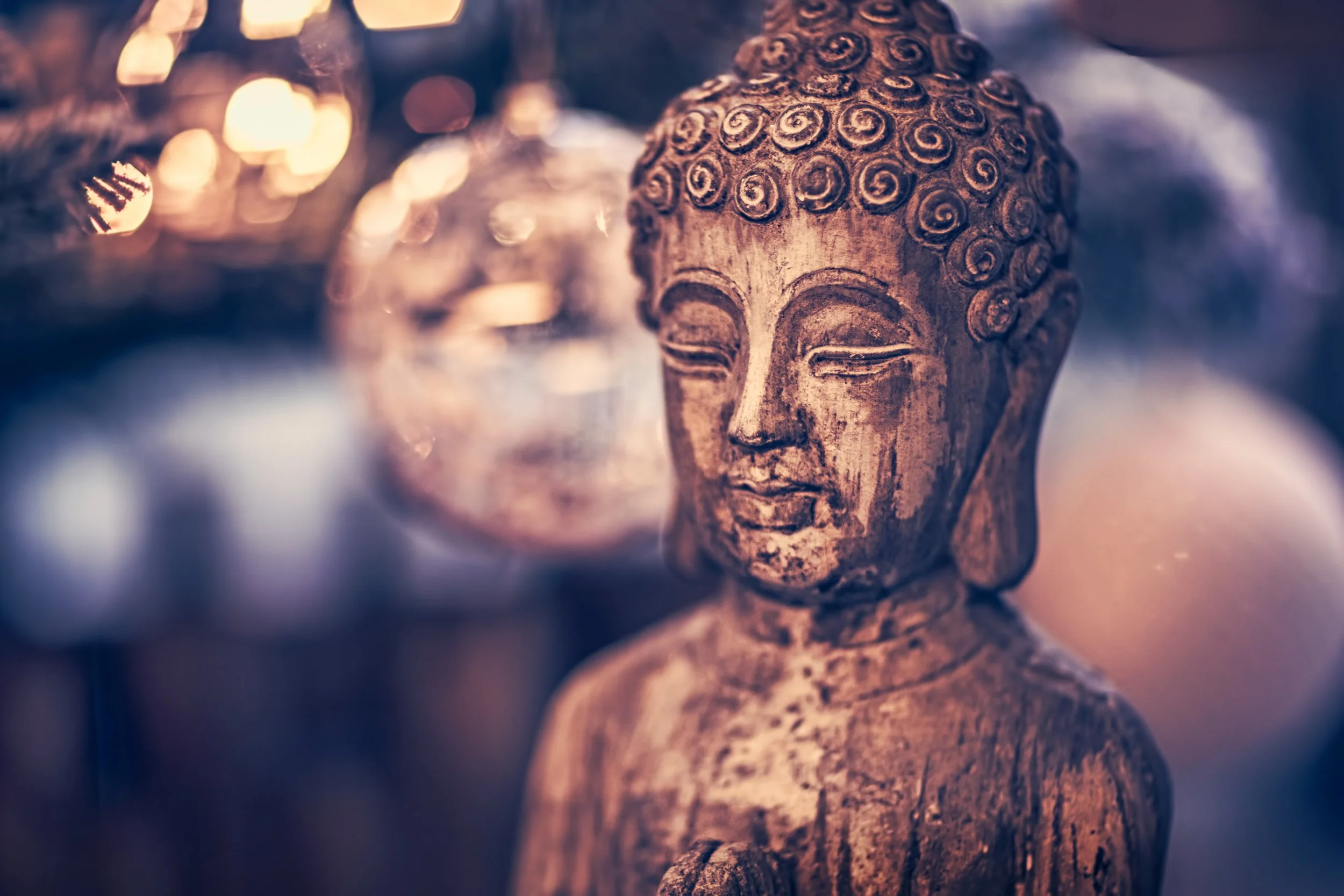 The Surprising Connection Between Buddha's Teachings and Healing for Veterans