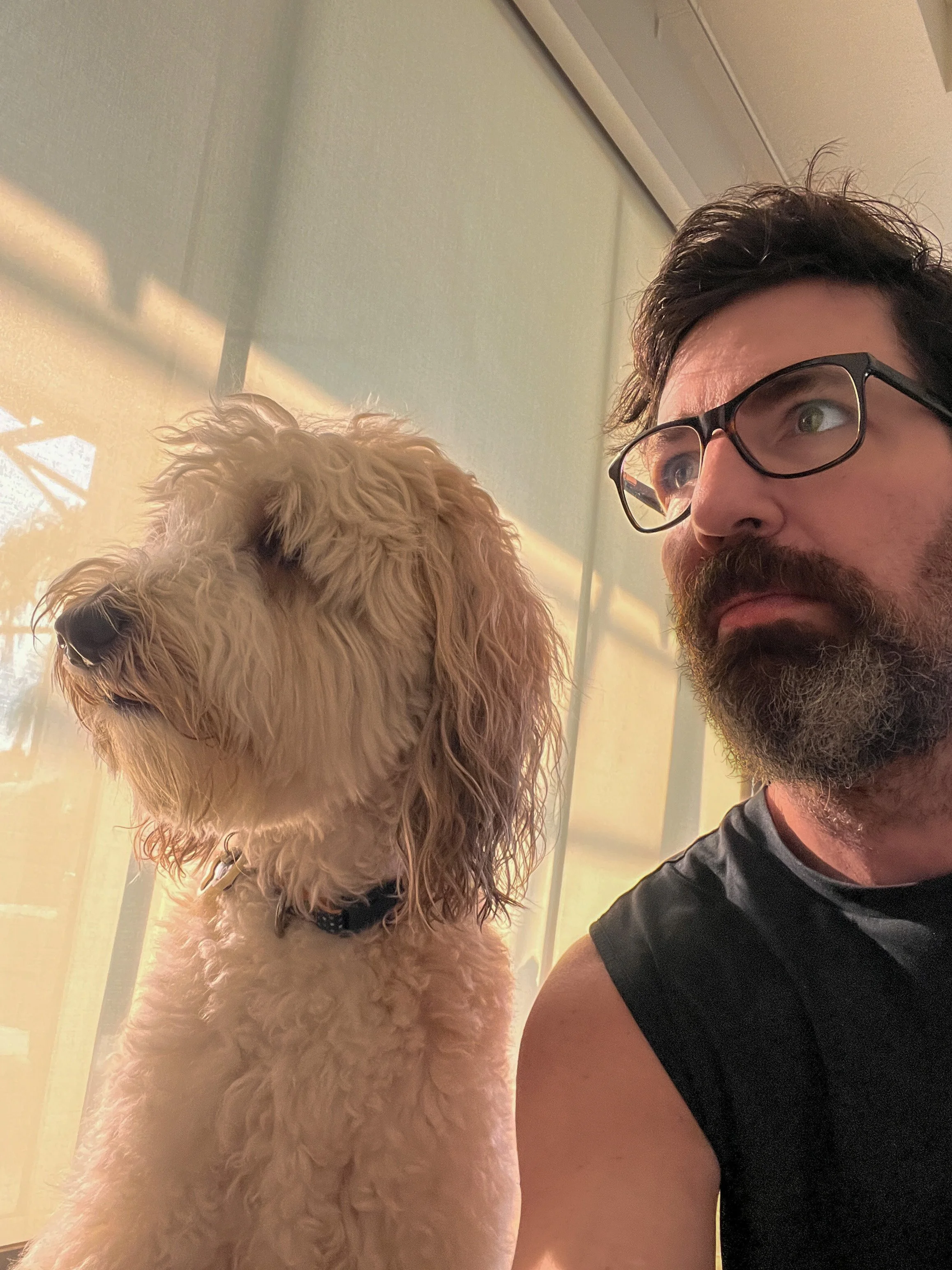 A man with glasses, beard, and dark hair taking a selfie with a light-colored, curly-haired dog wearing a collar near a window with blinds.