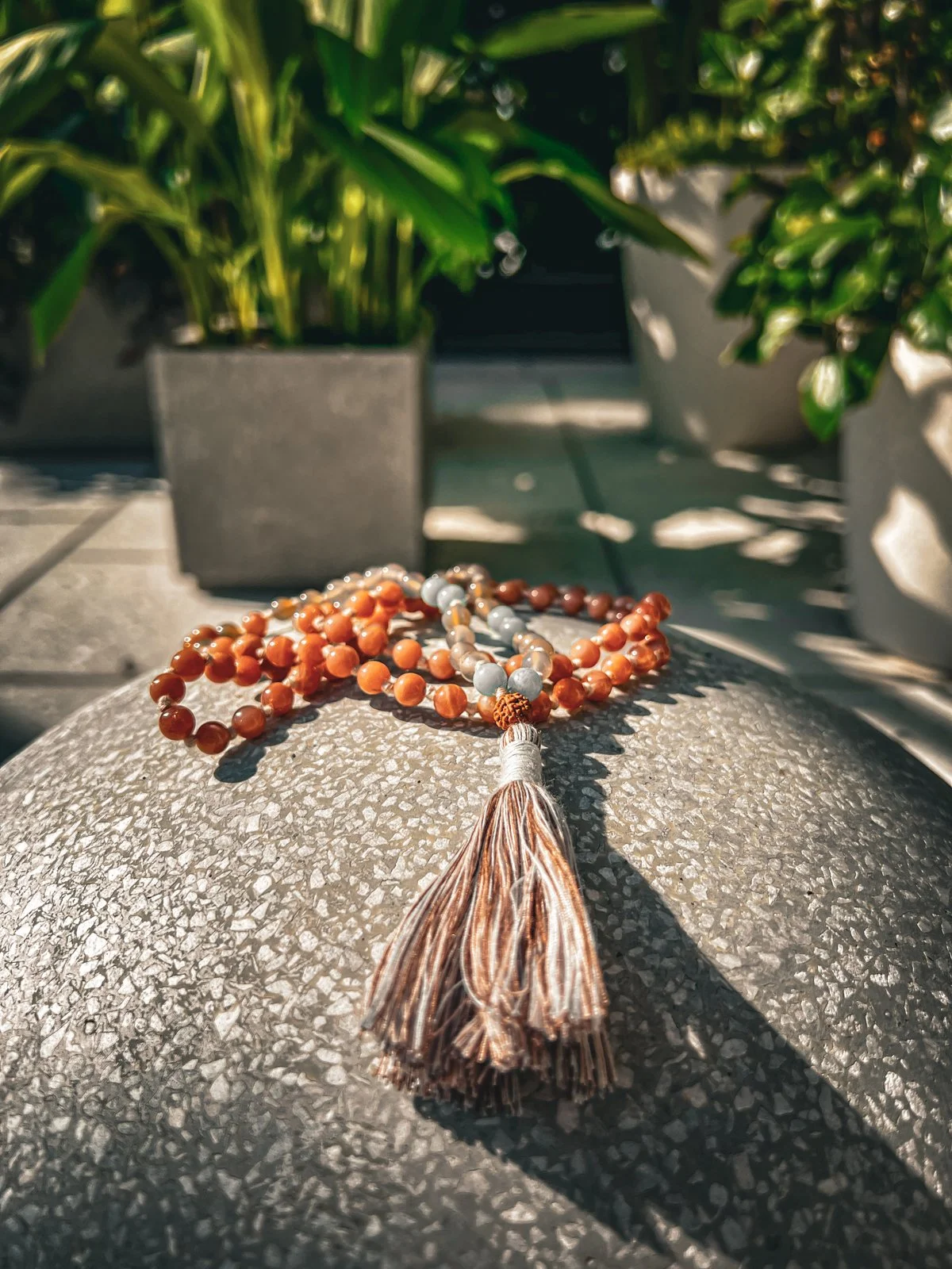 Mala-for-Vets-Jun26-2.jpg