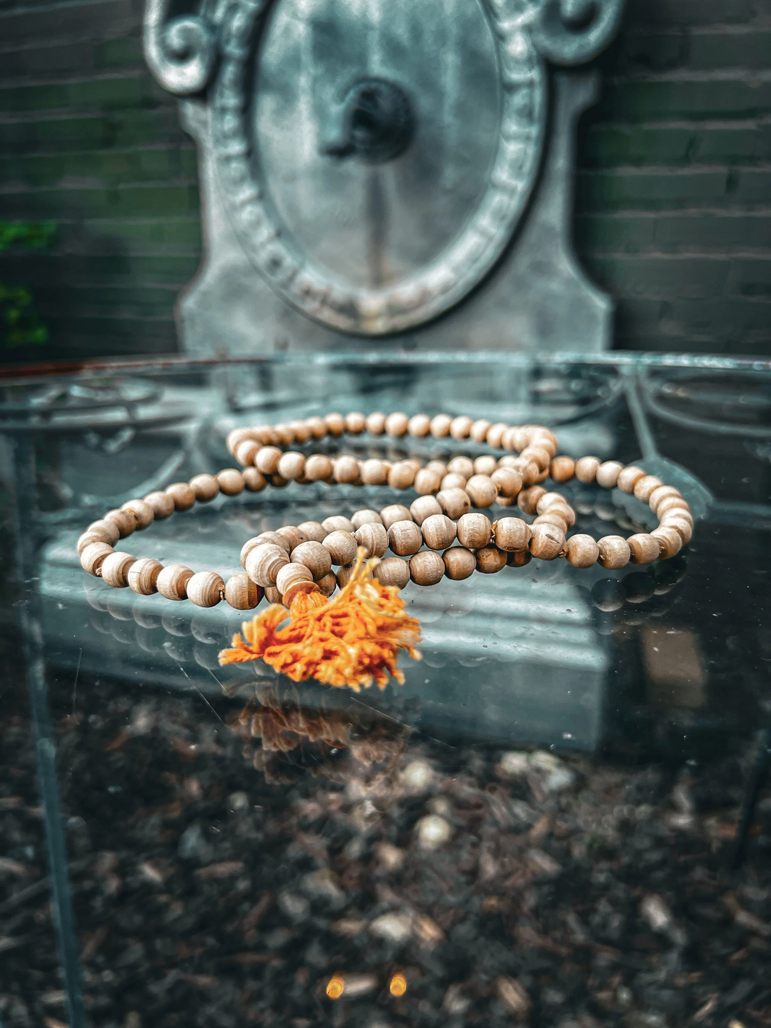 Mala-for-Vets-Alexandria-Sept-26-18.jpg