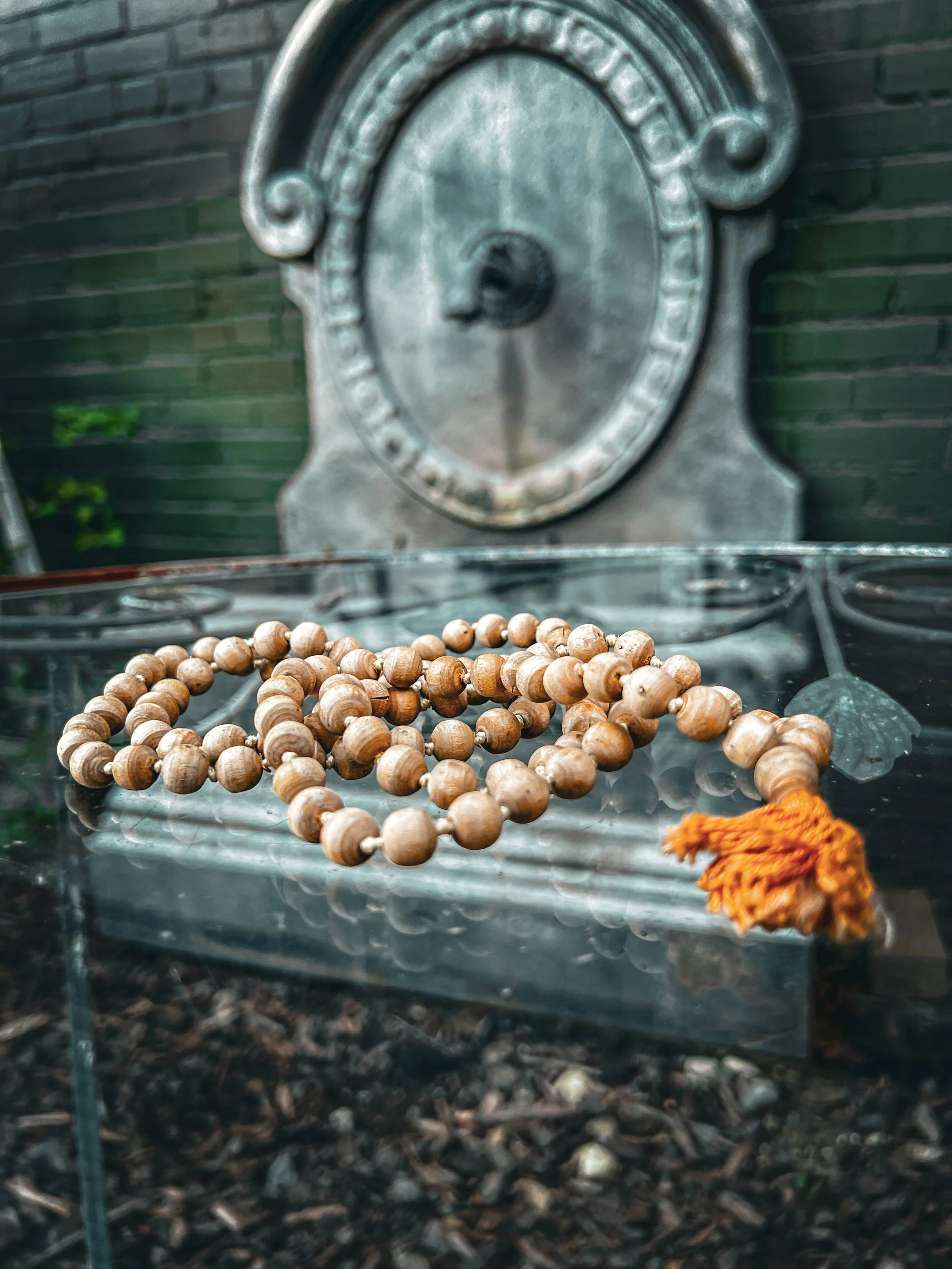 Mala-for-Vets-Alexandria-Sept-26-19.jpg