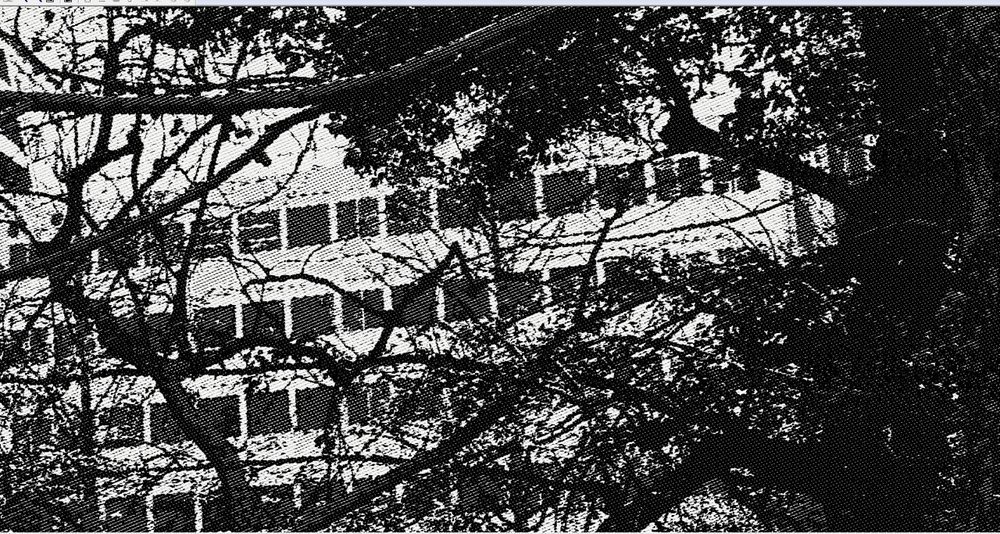 Hibakujumoku - Messages from the Silent Witnesses