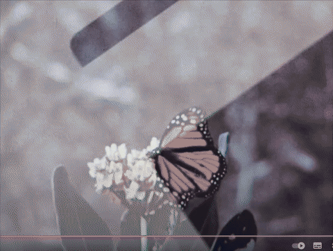 FILM - The Helsinki Effect / filmvisning med ettersnakk