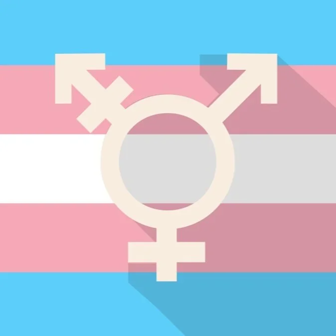 Kjønn og nye virkelighetsbeskrivelser