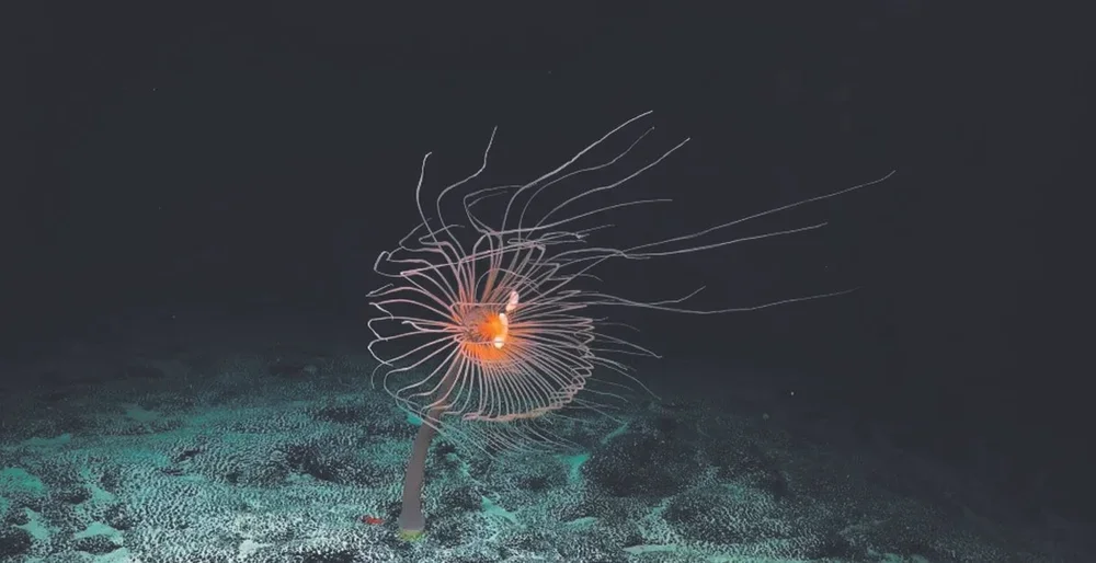 Deep Rising (2023) + ettersnakk med Sandor Mulsow og Matthieu Rytz