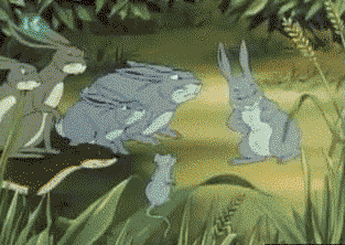 Fra økosorg til økohåp