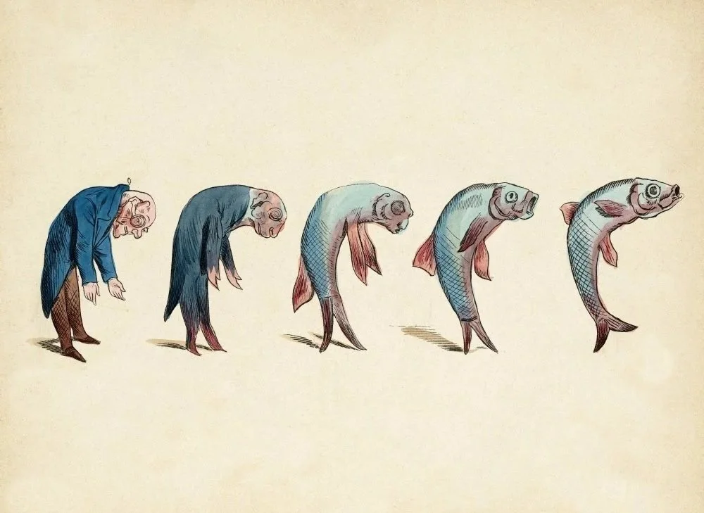 Returning to animal - the true human condition