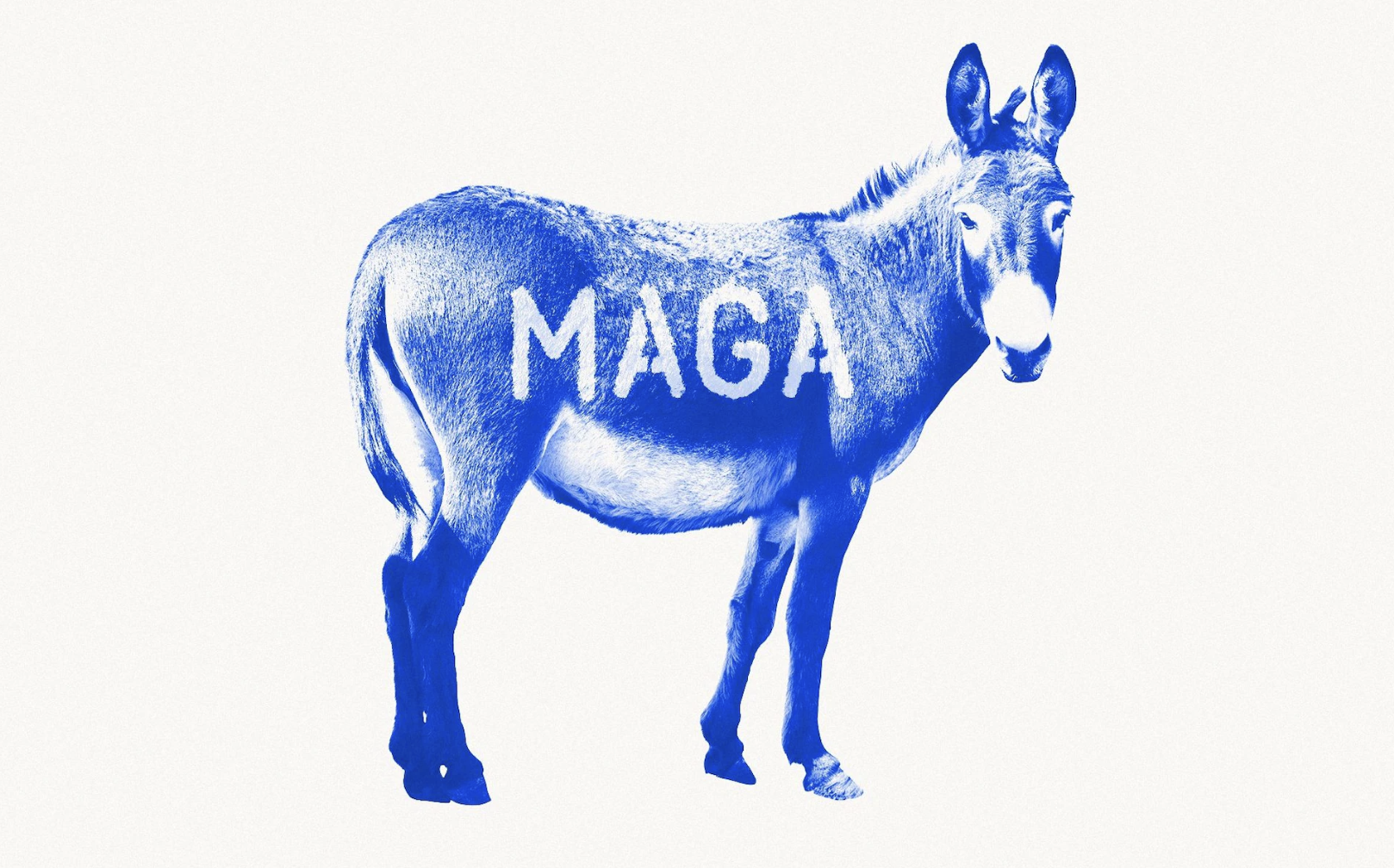 Ny saga om MAGA - og den vestlige politikkens framtid
