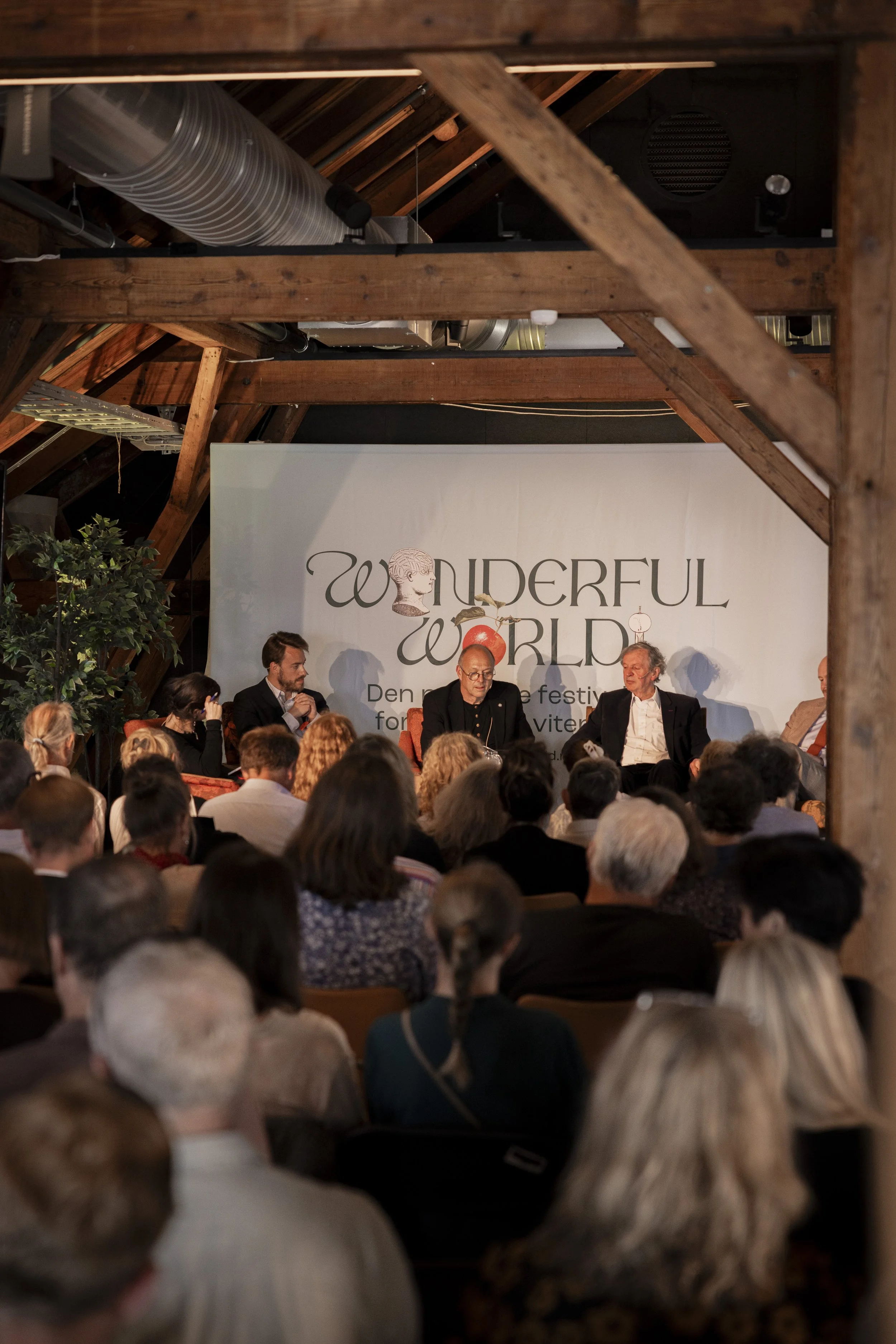 wonderful world_15.jpg