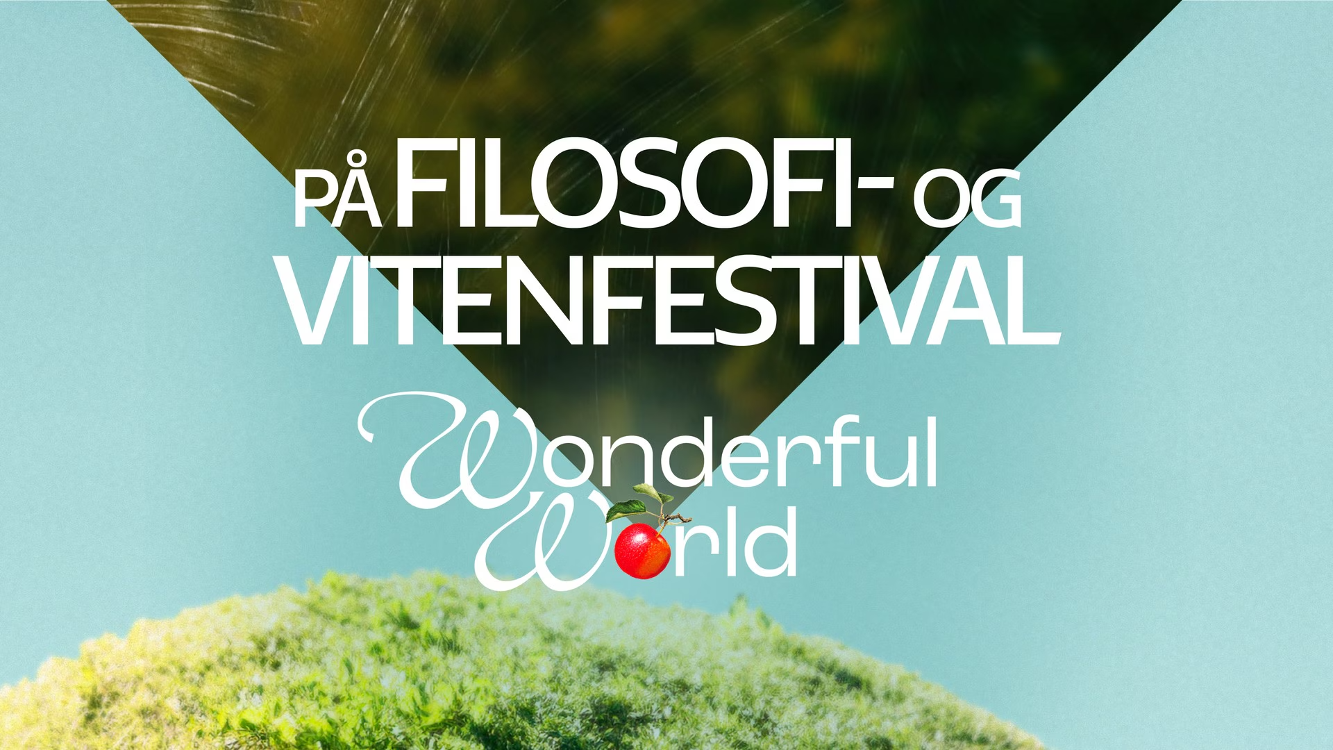 Hør opptak fra Wonderful World på NRK P2