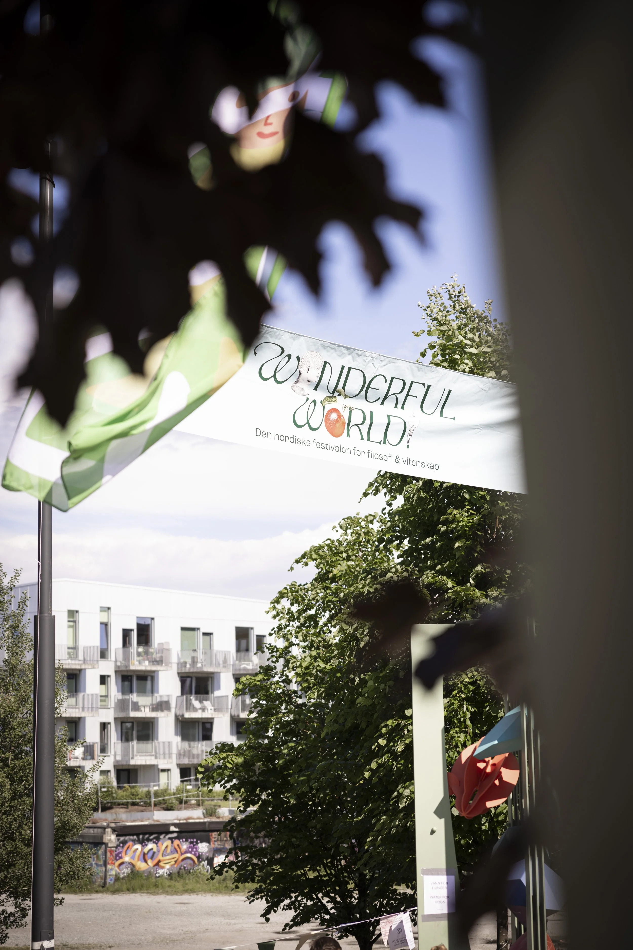 wonderful world_49.jpg