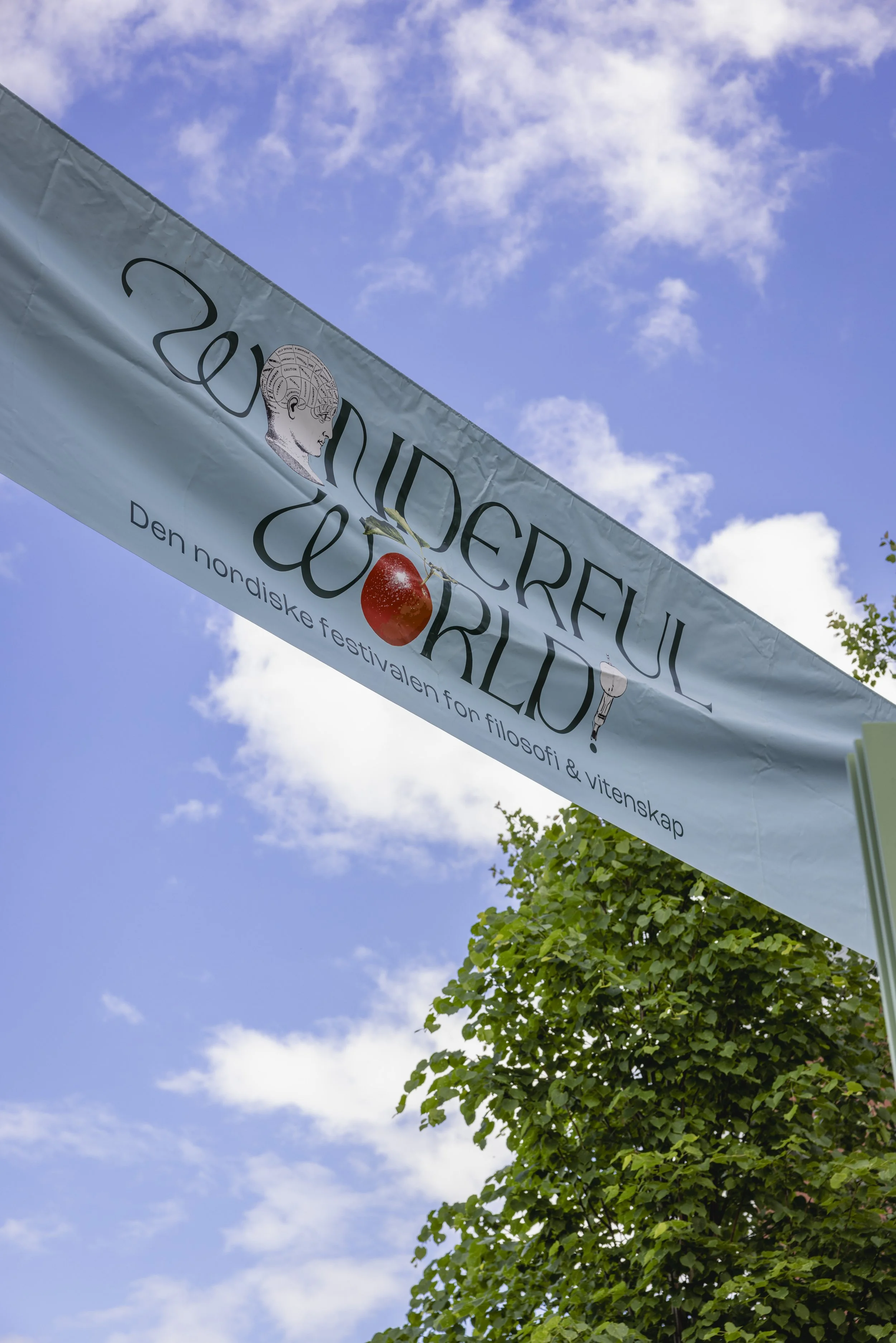 Wonderful world_6.jpg