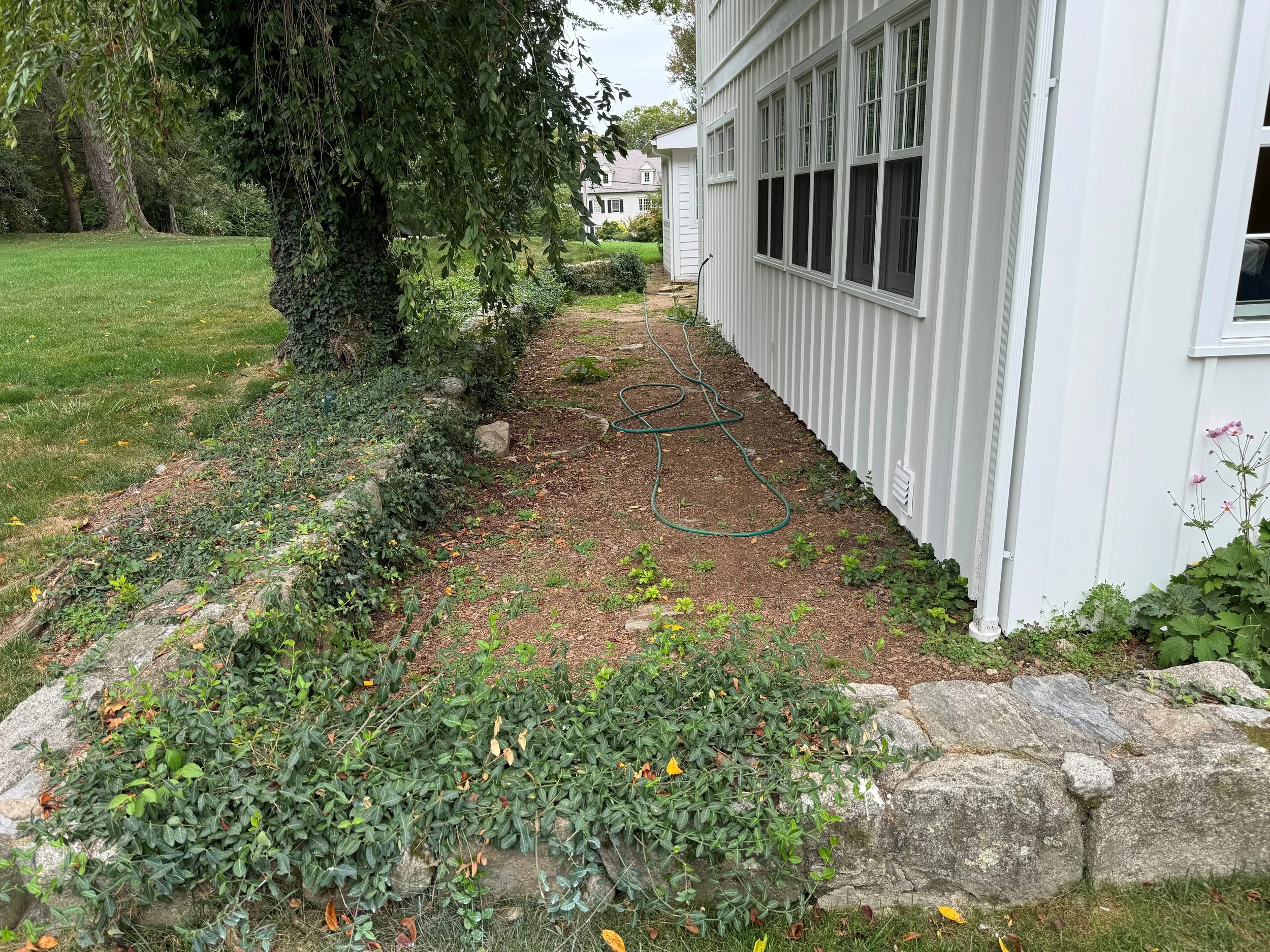 Landscaping Greenwich.jpg