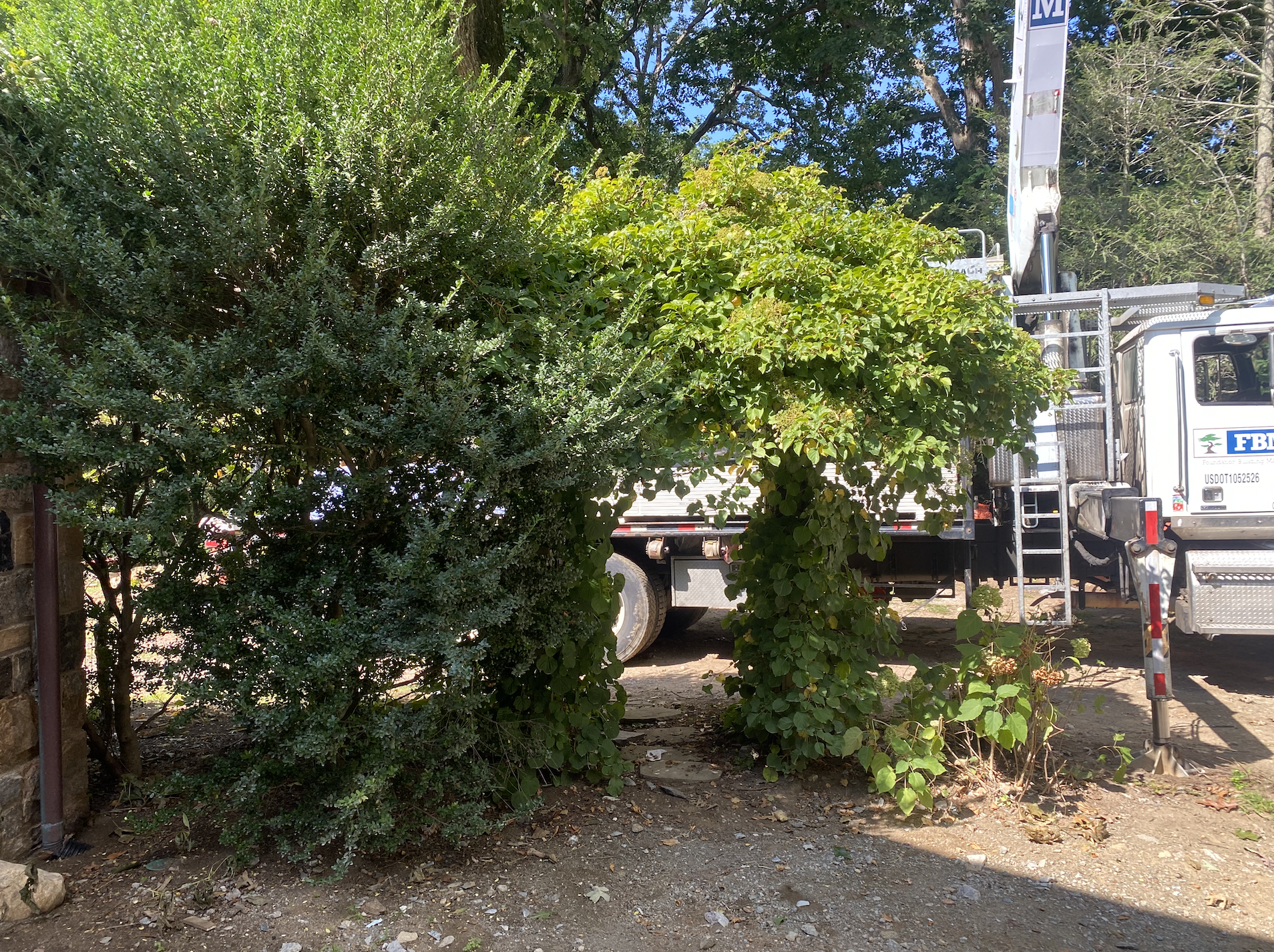 Landscaping Greenwich.png