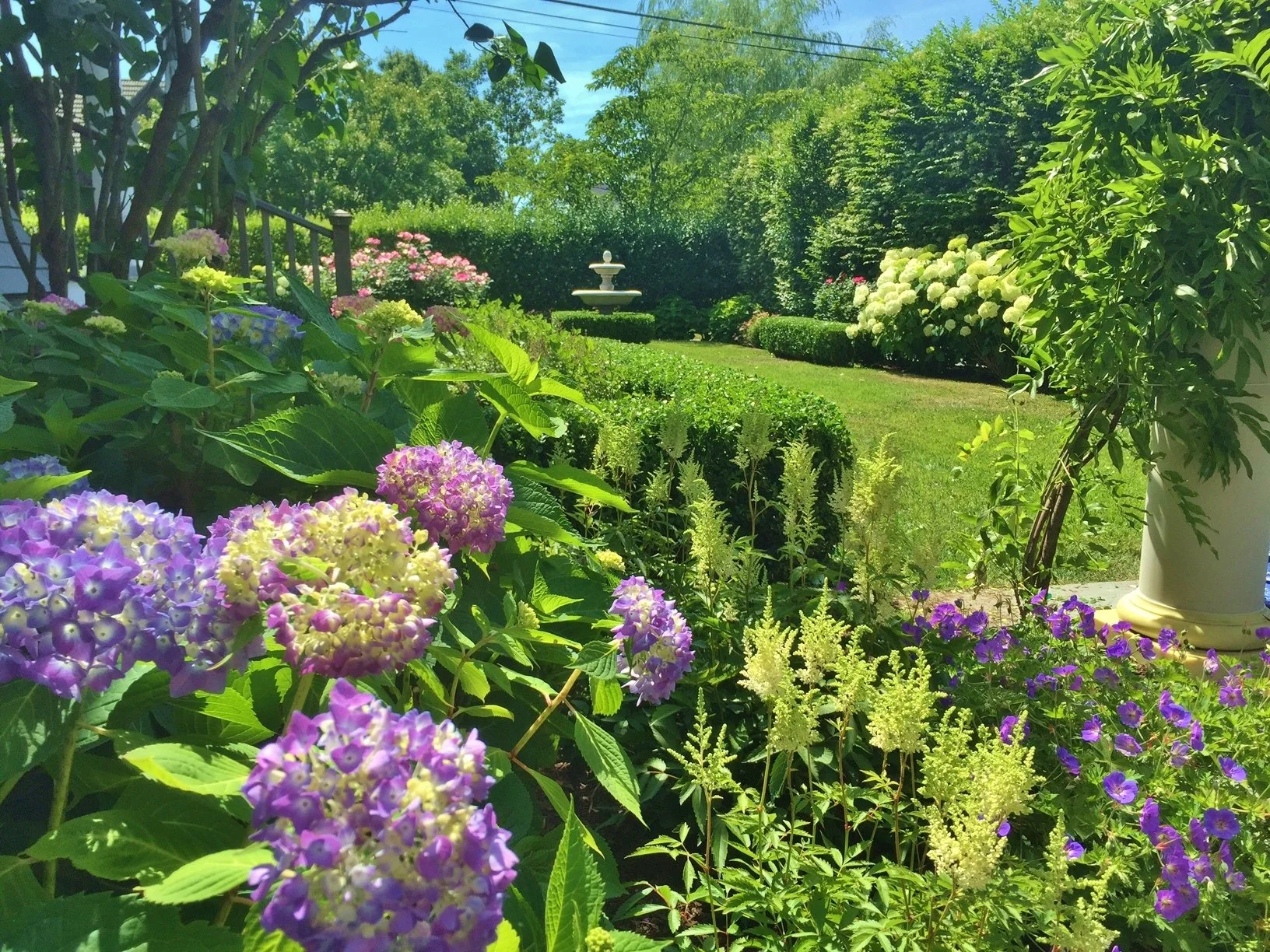 A lush garden with blooming purple, pink, and white hydrangeas, green shrubs, trees, and a white fountain in the background under a blue sky.