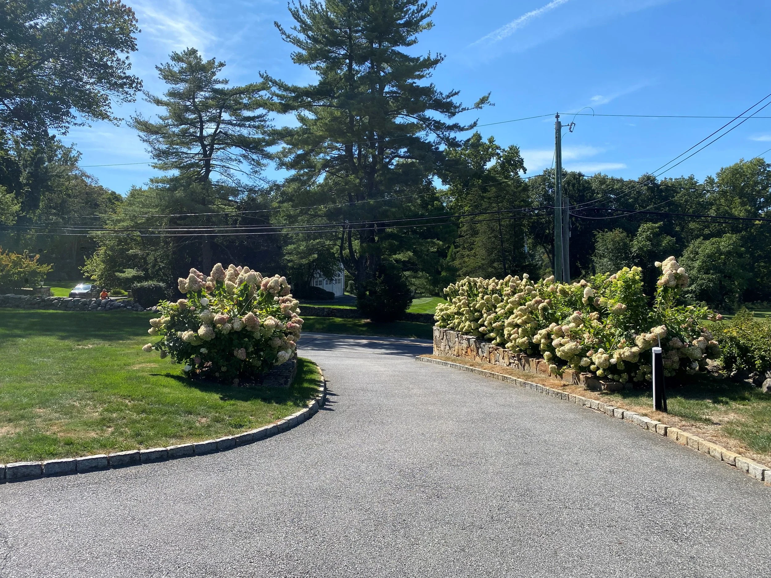 Landscaping Greenwich.jpg