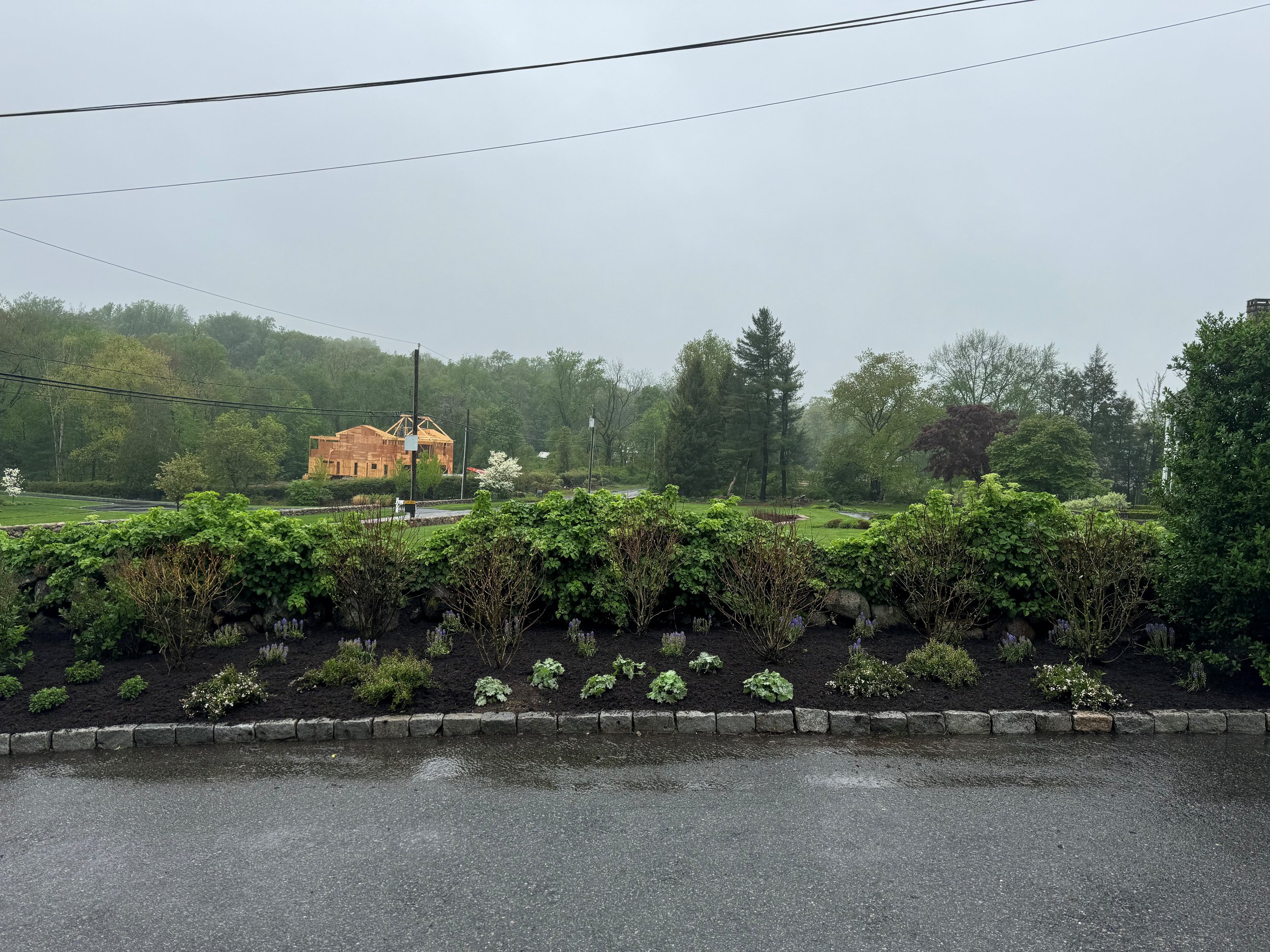 Landscaping Greenwich.jpg